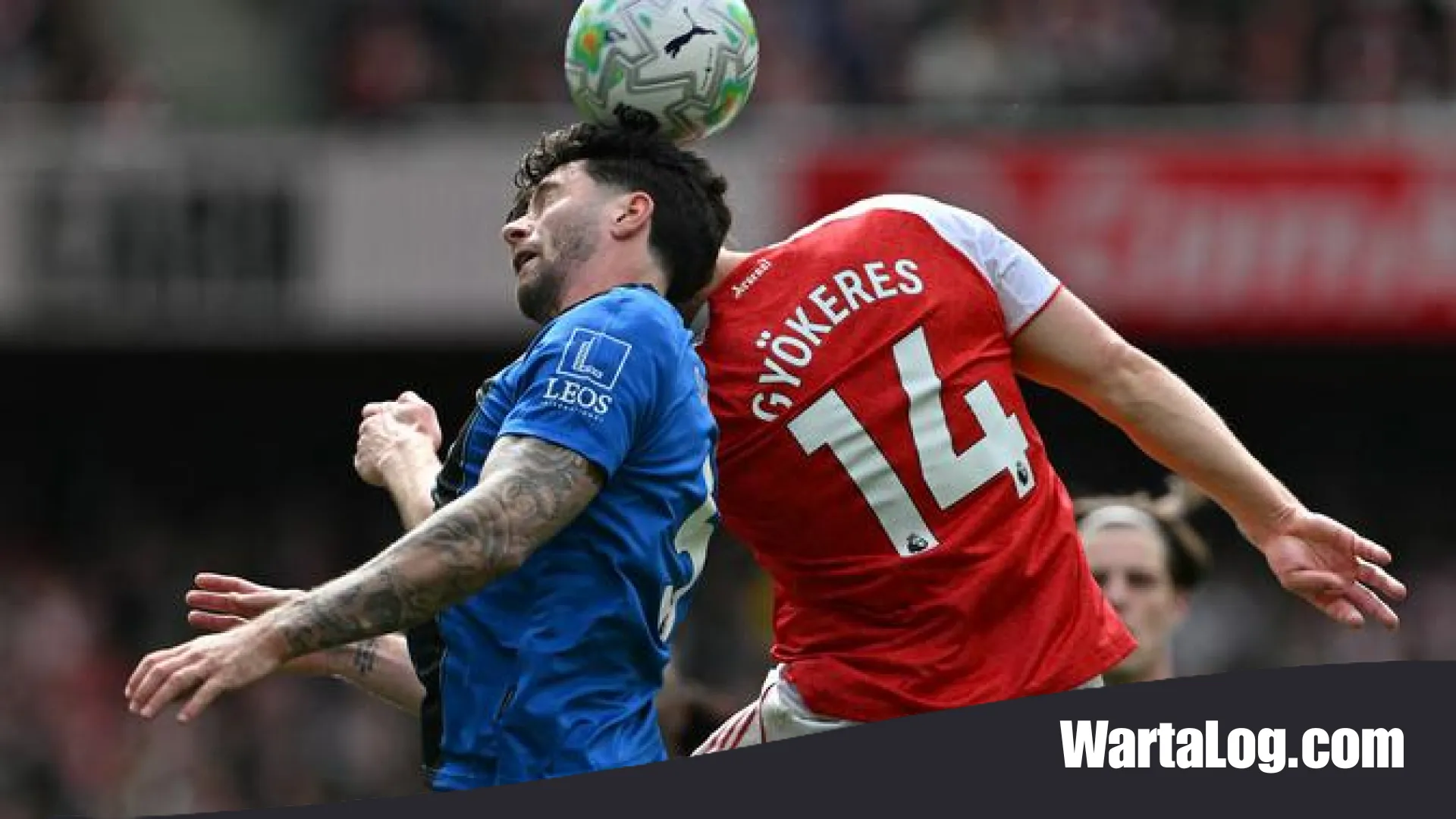 Liverpool Siap ‘Sikut’ Manchester United dalam Perburuan Marcos Senesi Secara Gratis