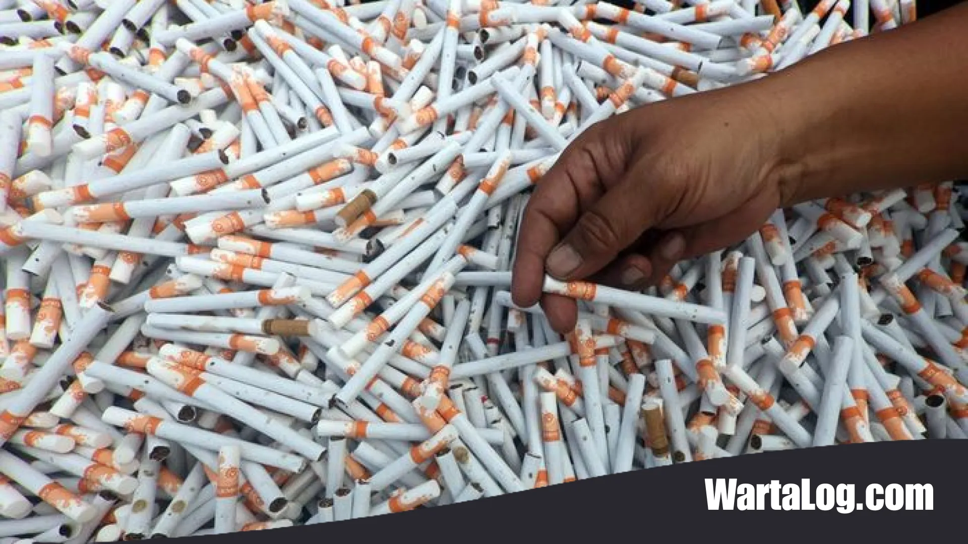 Aksi Senyap Bea Cukai Banyuwangi: Jutaan Batang Rokok Ilegal Senilai Rp10 Miliar Gagal Menyeberang ke Bali