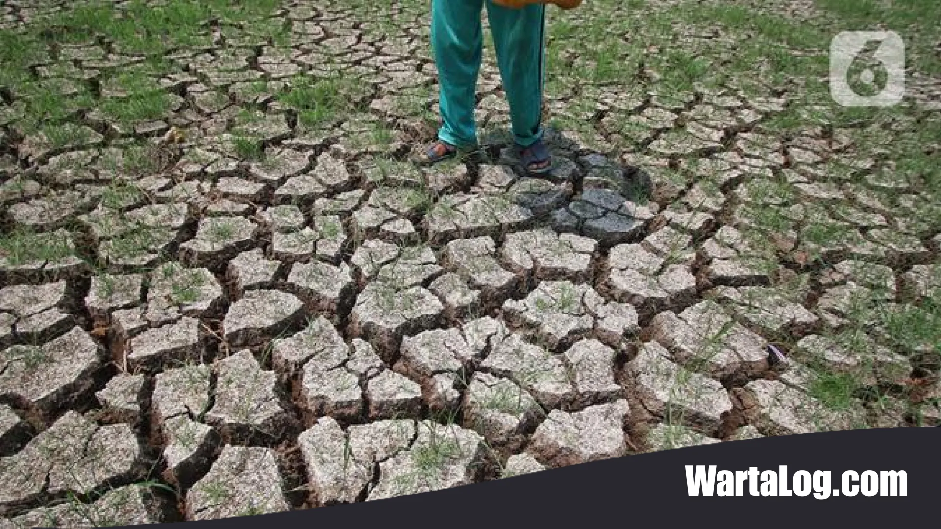 Waspada Disinformasi! Inilah Kumpulan Hoaks Seputar Musim Kemarau yang Wajib Anda Ketahui