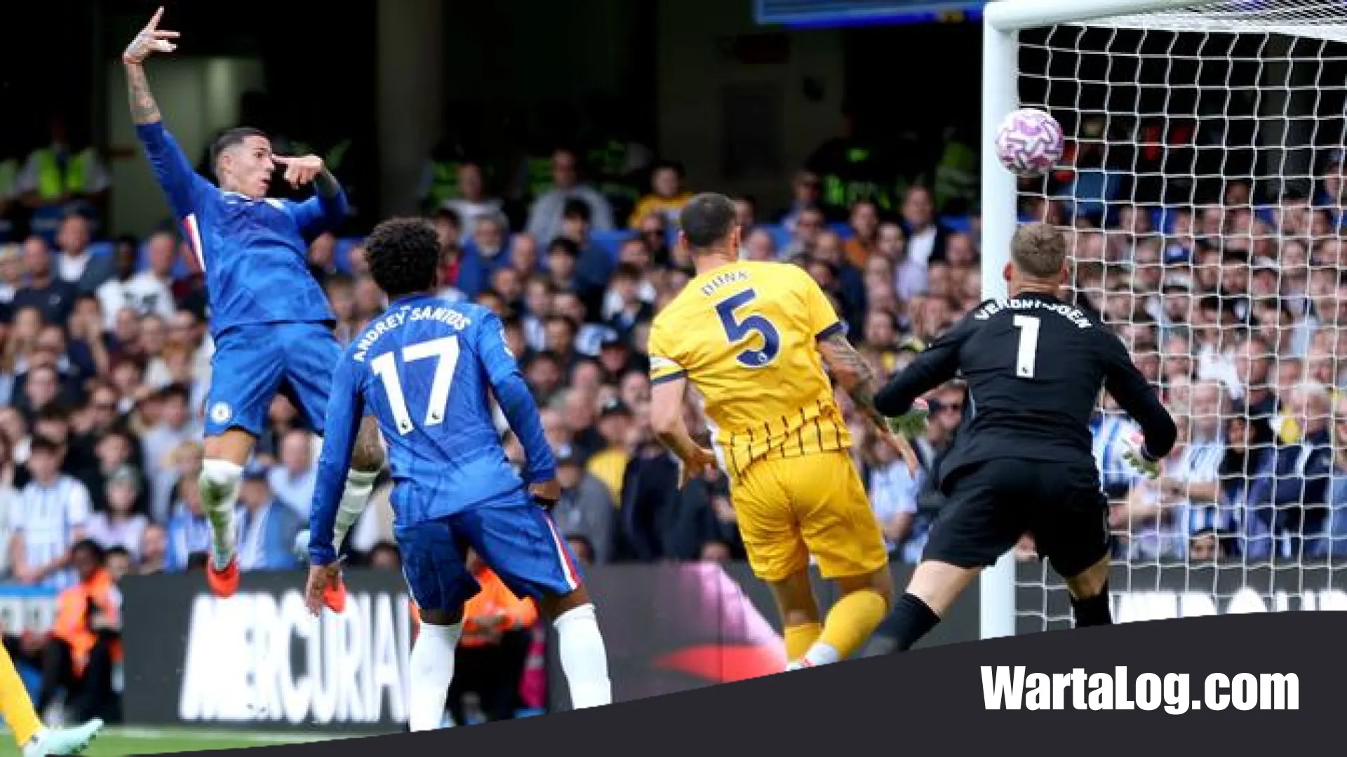 Prediksi Brighton vs Chelsea: Misi Kebangkitan The Blues di Tengah Ancaman Kudeta The Seagulls