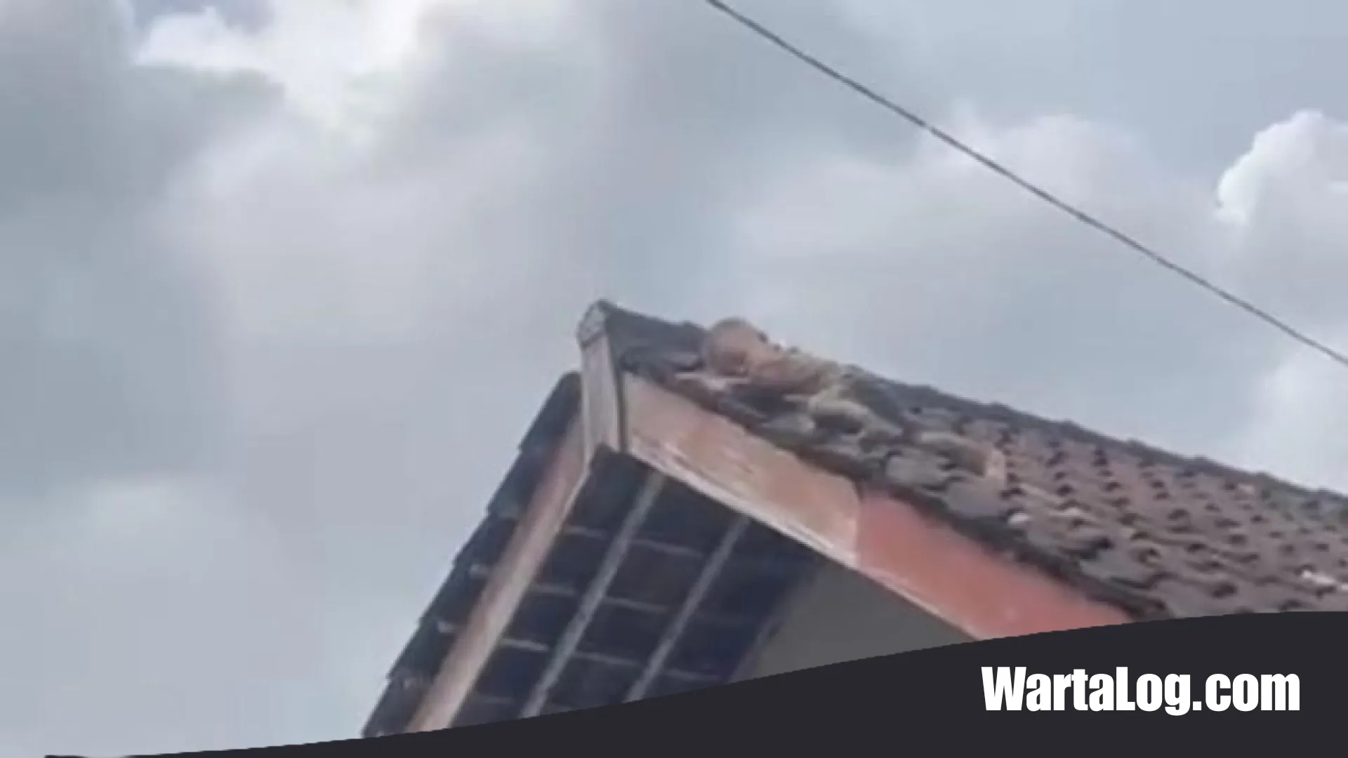 Ketegangan di Lombok: Aksi ‘Spider-Man’ Balita 2 Tahun Merayap di Atas Genteng yang Menggegerkan Warga