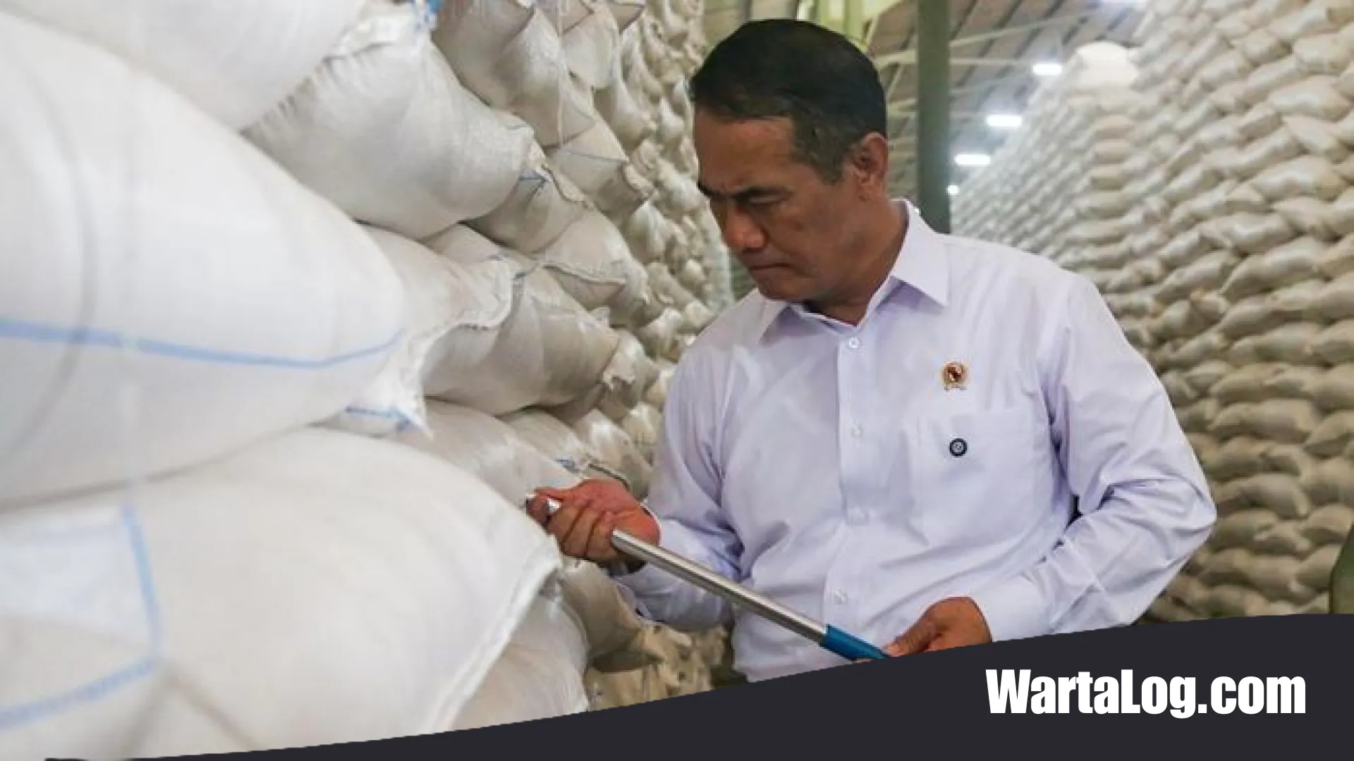 Cetak Rekor Stok Beras Tertinggi Sepanjang Sejarah, Indonesia Targetkan Bebas Impor di 2026