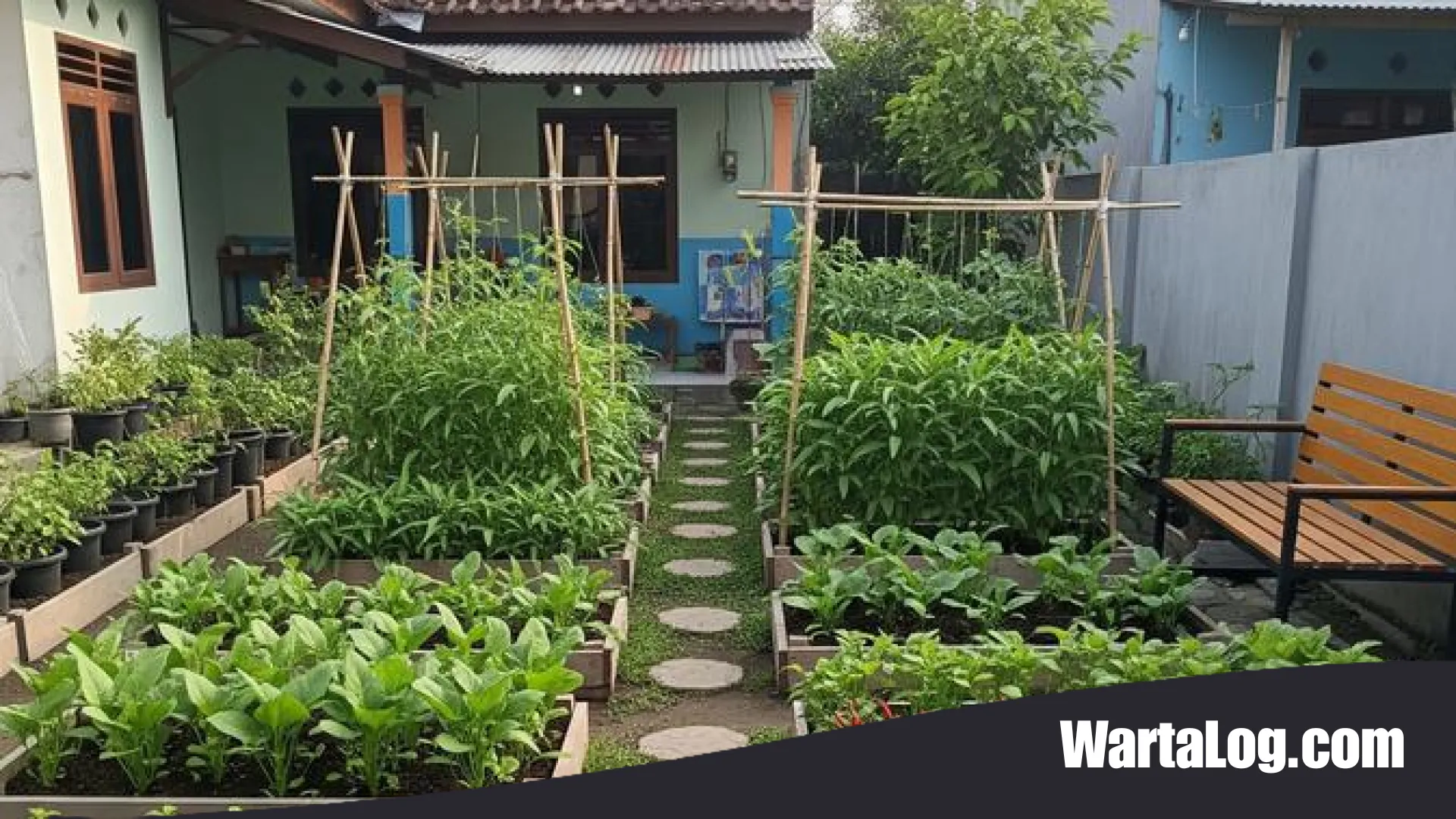 9 Konsep Kebun Sayur Praktis untuk Lansia: Solusi Ketahanan Pangan Rumah Tangga yang Minim Perawatan