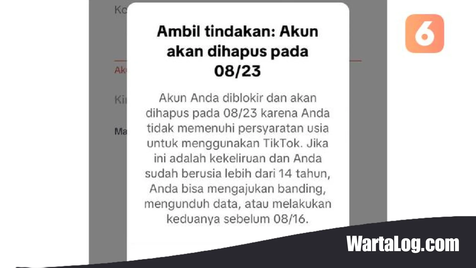 Badai Banned Massal TikTok: Ribuan Akun Terancam Dihapus, Pengguna Dewasa Ikut Terjaring