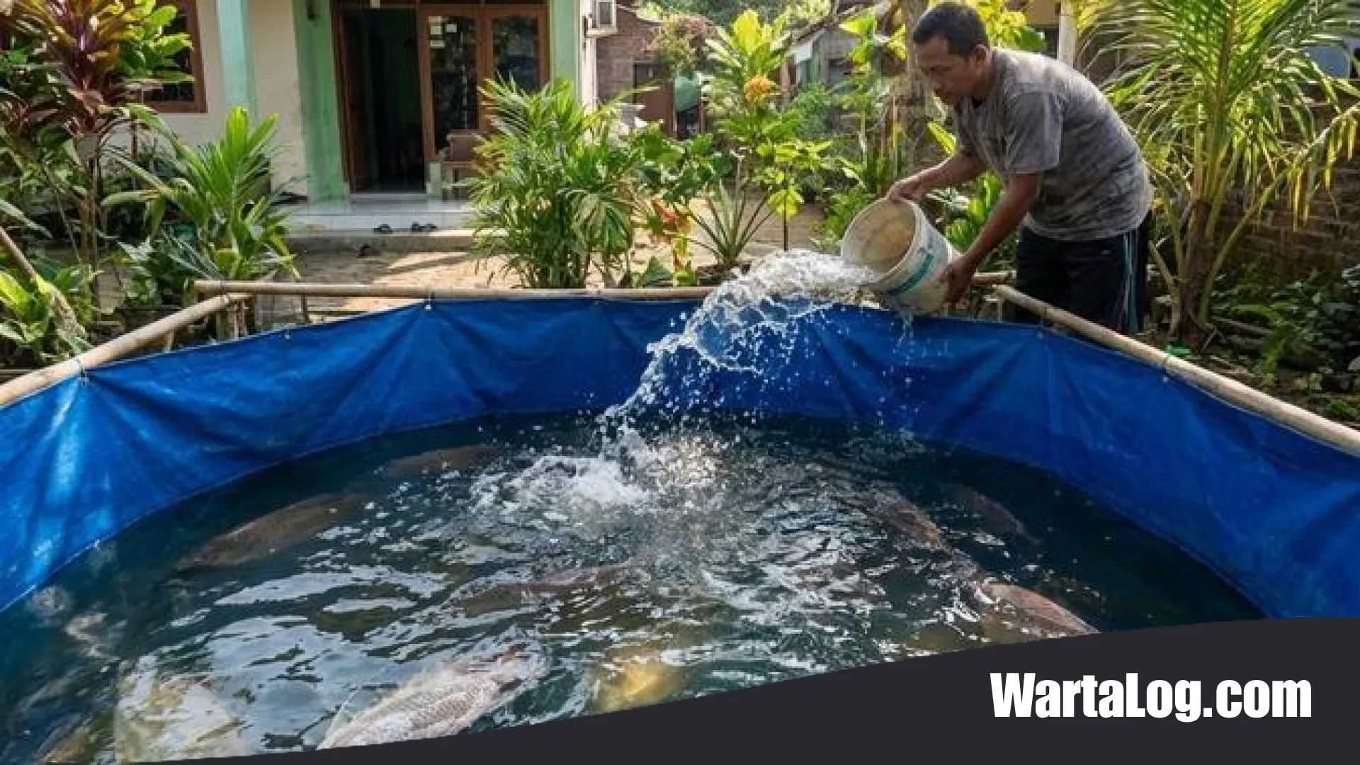 12 Ide Ternak Rumahan dan Budidaya Buah Minim Tenaga di Lahan Sempit: Solusi Kemandirian Pangan Modern