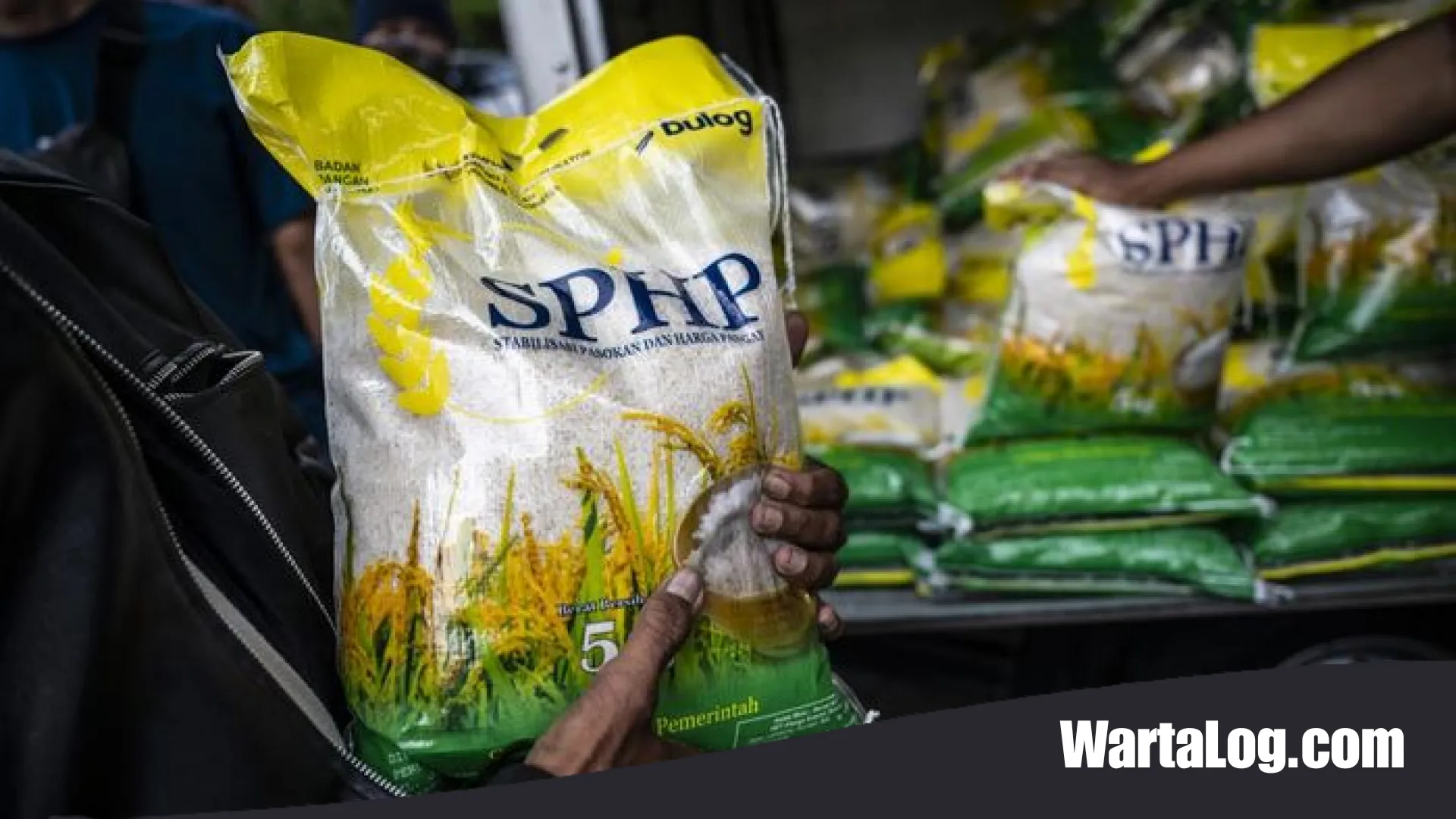 Solusi Krisis Plastik: Bapanas Izinkan Bulog Gunakan Kemasan Lama demi Kelancaran Distribusi Beras SPHP