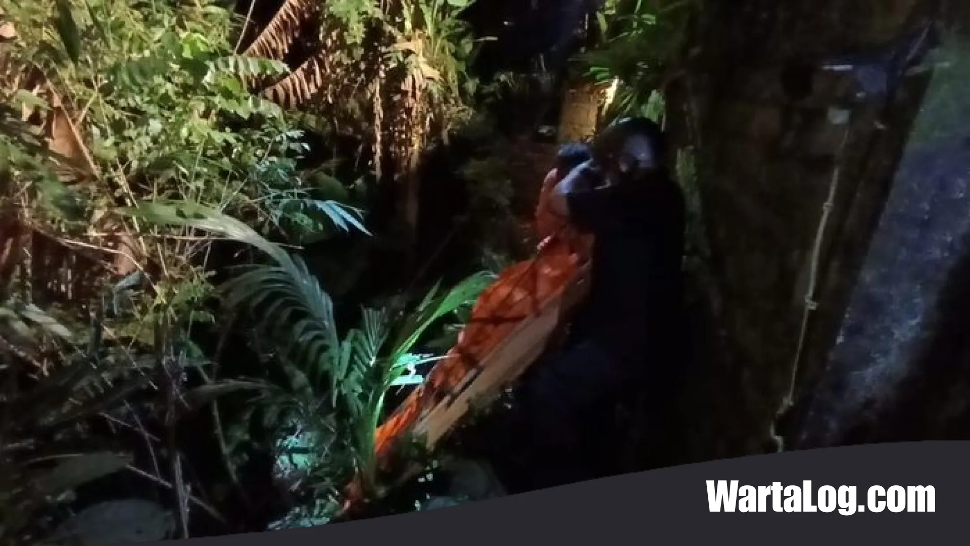 Tragedi di Jantung Ubud: Warga Negara Swedia Ditemukan Tewas di Dasar Jurang Petulu Setelah Tiga Hari
