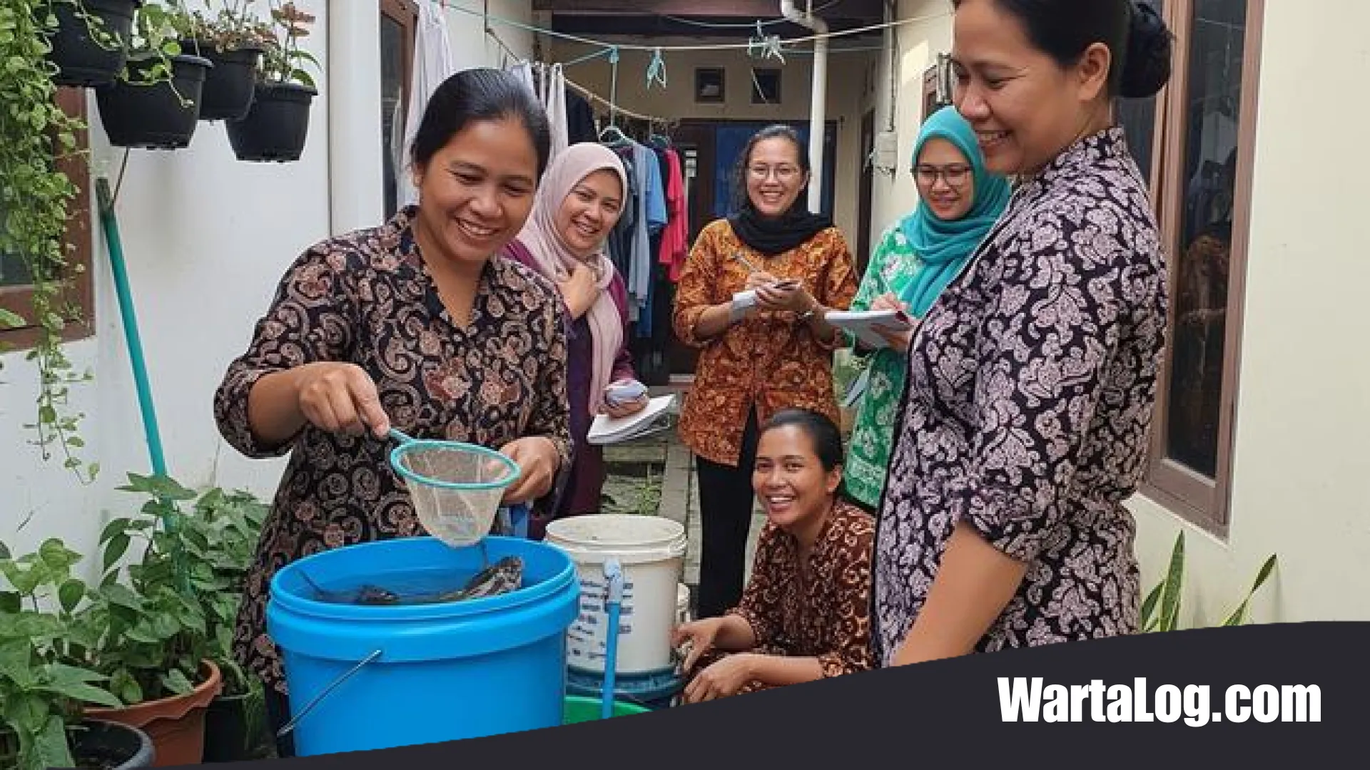 Rahasia Sukses Ternak Lele dalam Ember: 7 Ide Budikdamber Inovatif untuk Ibu PKK di Lahan Terbatas