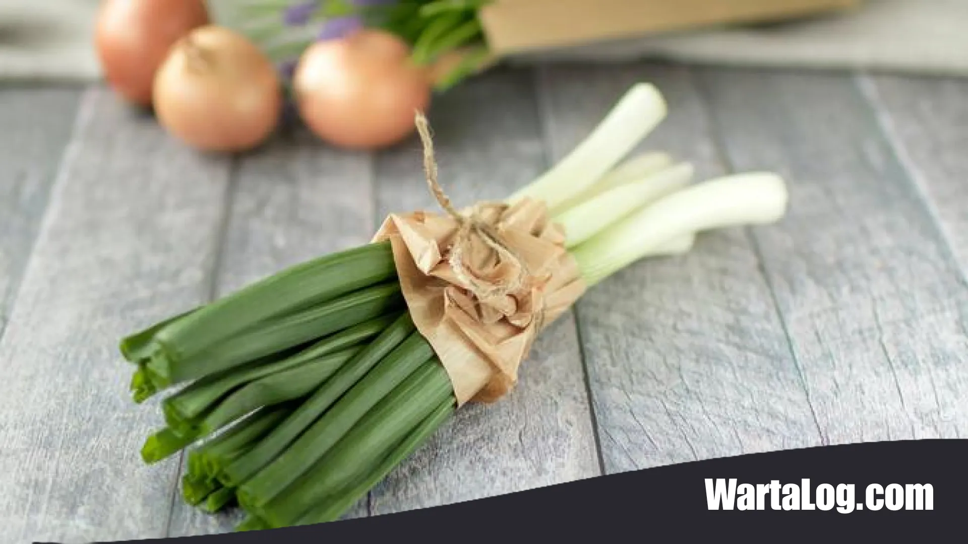 Mandiri Pangan dari Rumah: 13 Tanaman Mudah Panen untuk Ketahanan Dapur Keluarga