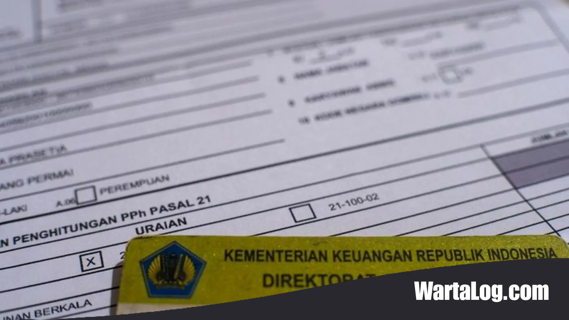DJP Bakal Periksa Peserta PPS: APINDO Minta Pengusaha Tetap Tenang dan Fokus pada Kepatuhan