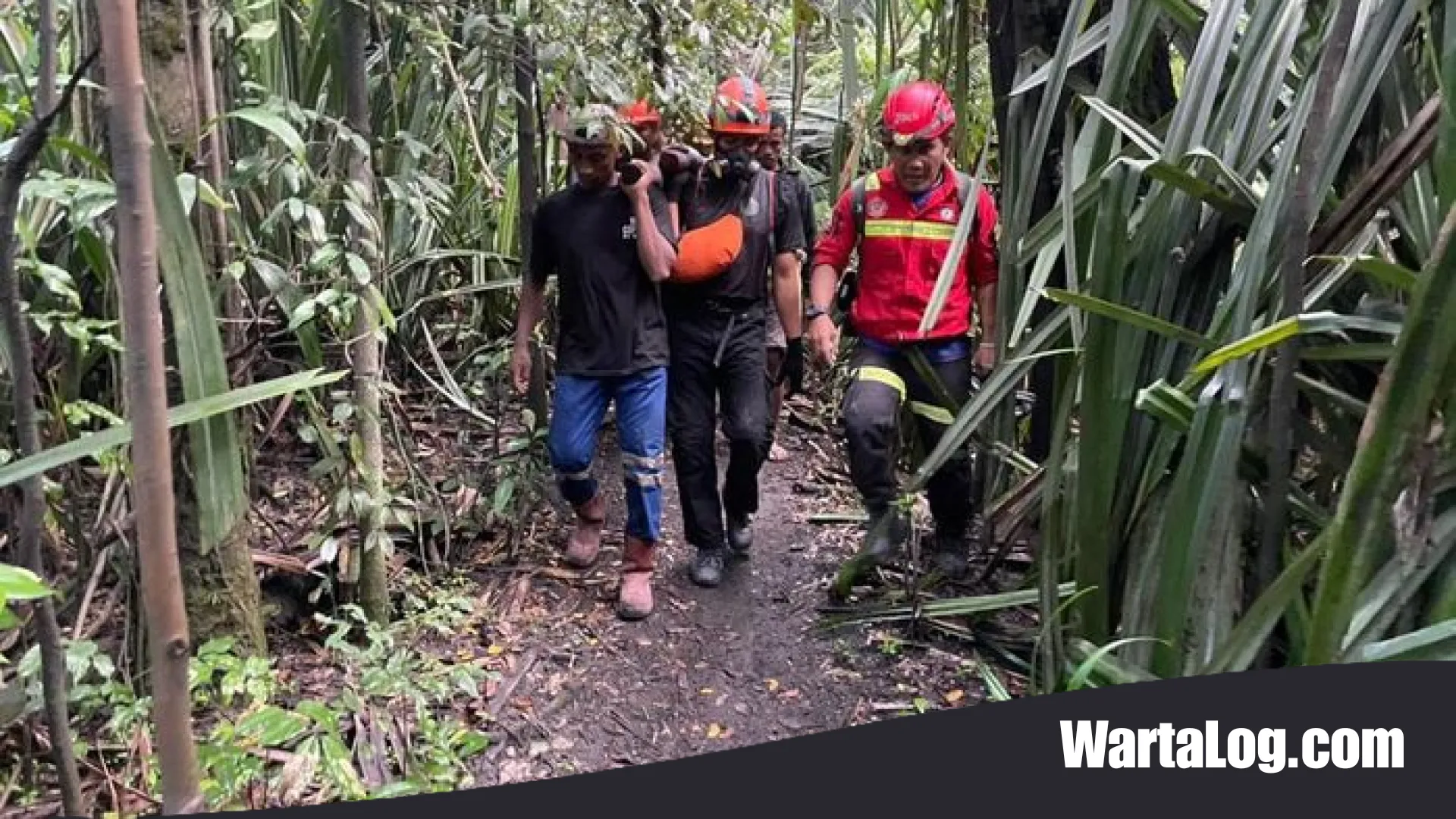 Tragedi Puncak Dukono: Kronologi dan Fakta Pilu Tewasnya Tiga Pendaki dalam Dekapan Vulkanik