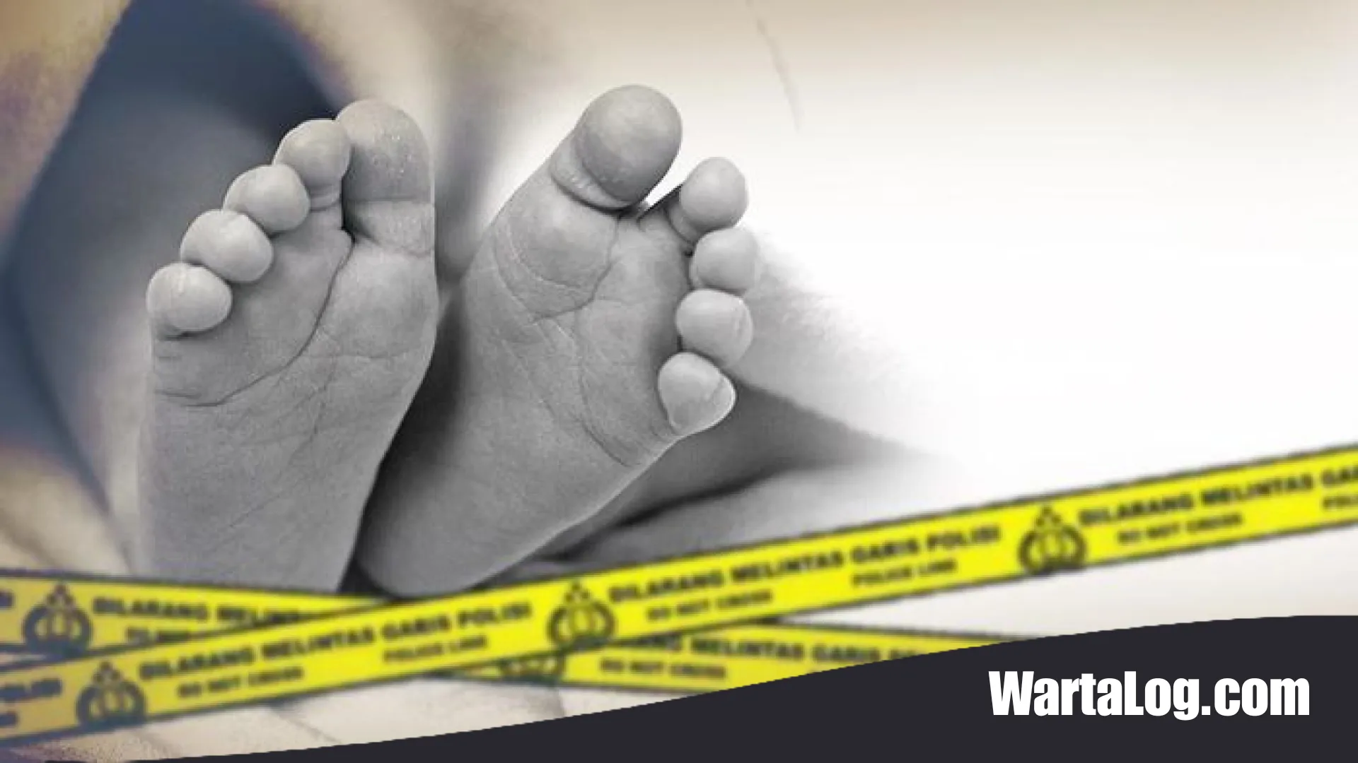 Tragedi di Balik Kardus Mi Instan: Temuan Jasad Bayi Gegerkan Warga Tanah Sareal Bogor