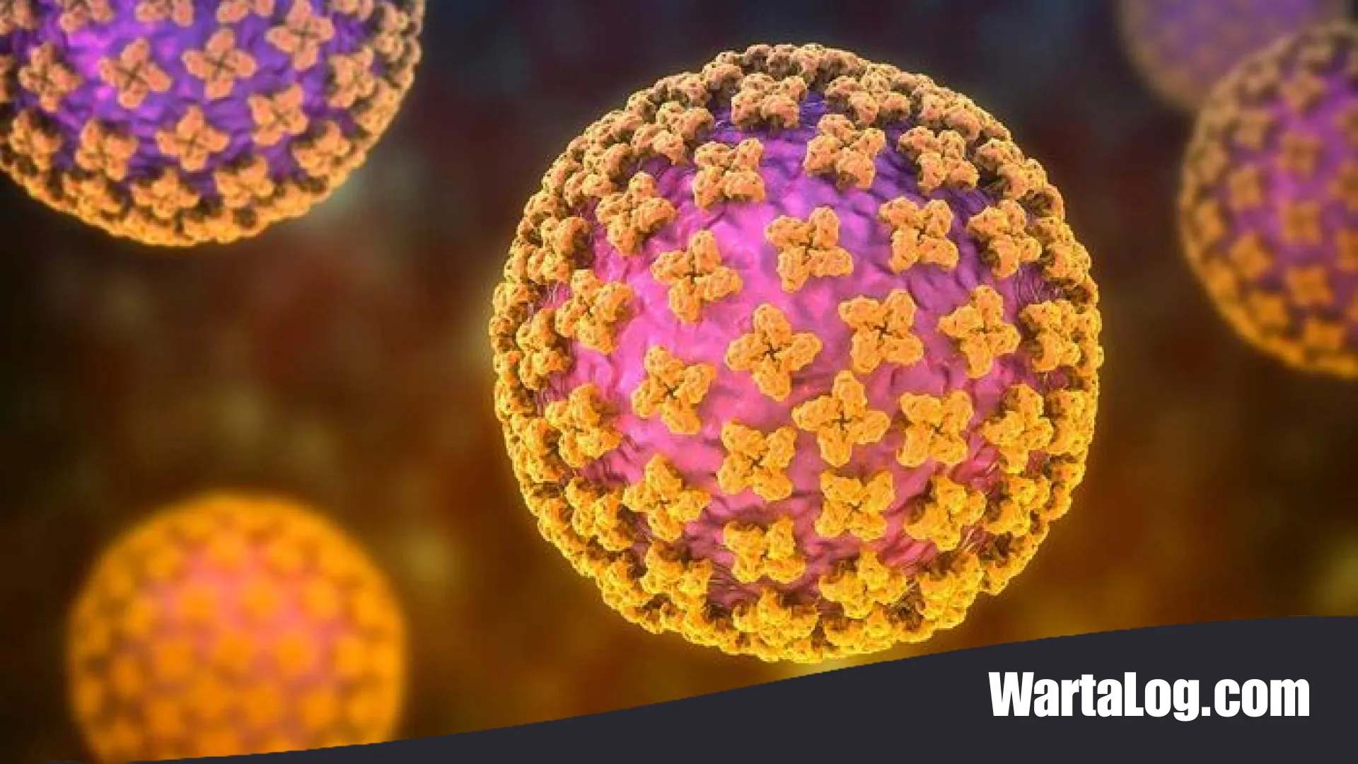 Hantavirus: Mengenal Lebih Dekat Ancaman ‘Silent Killer’ dari Hewan Pengerat, Gejala, dan Langkah Mitigasinya