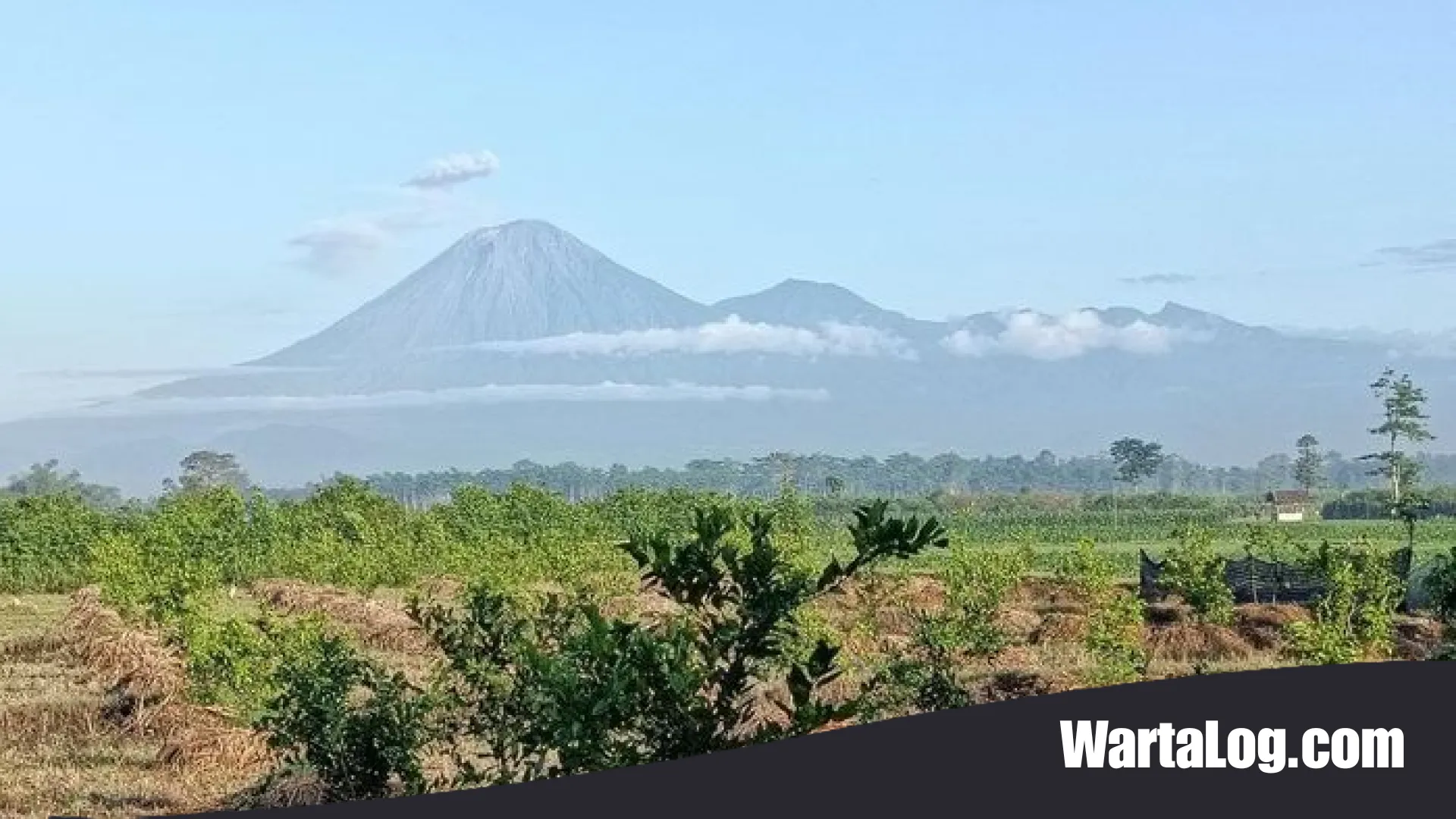 Semeru Kembali Bergolak: Kronologi Empat Erupsi Beruntun Pagi Ini dan Panduan Keselamatan Bagi Warga