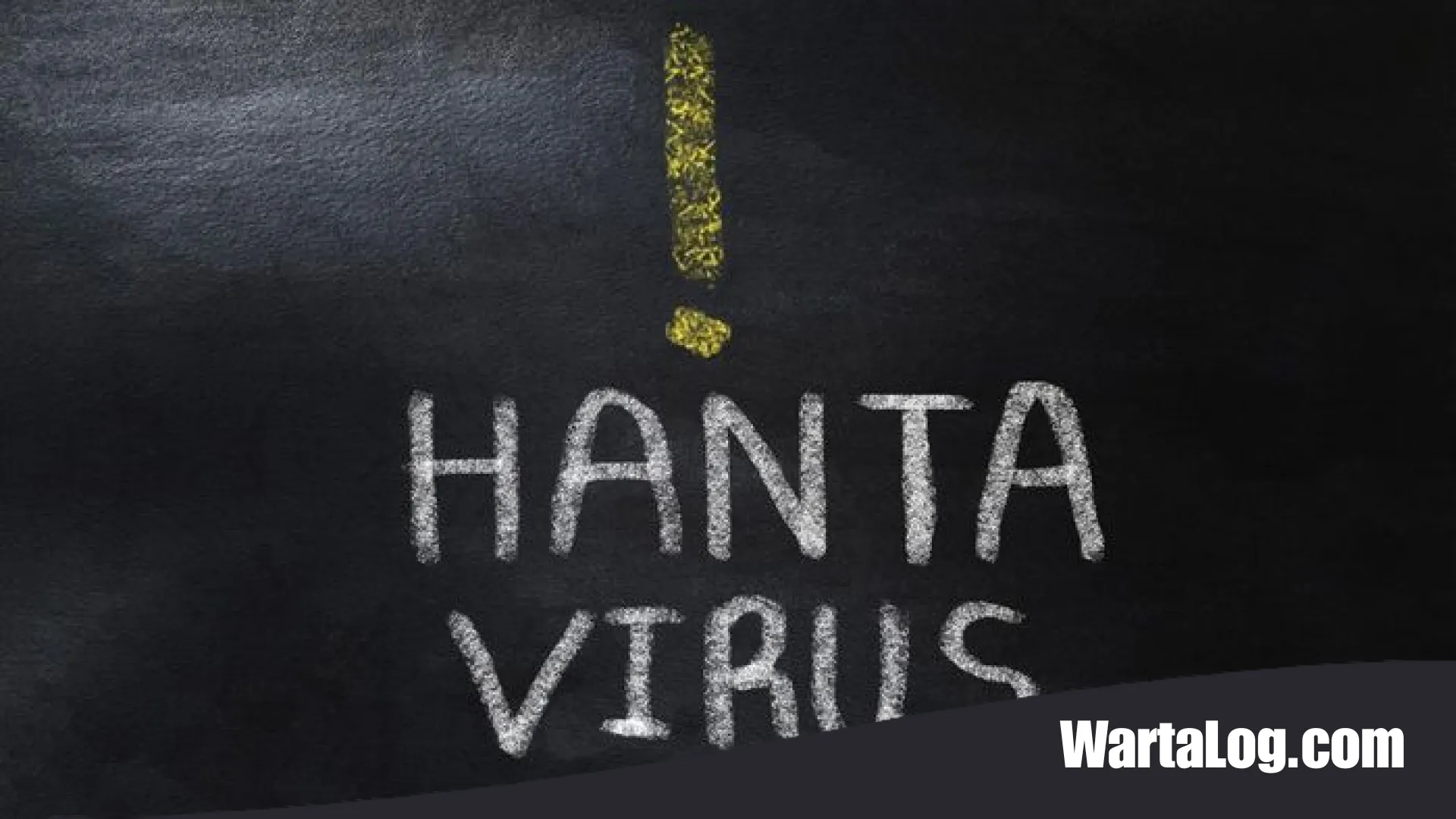 Hantavirus Masuk Jawa Timur: Kronologi Kasus Pertama dan Langkah Strategis Mitigasi Zoonosis