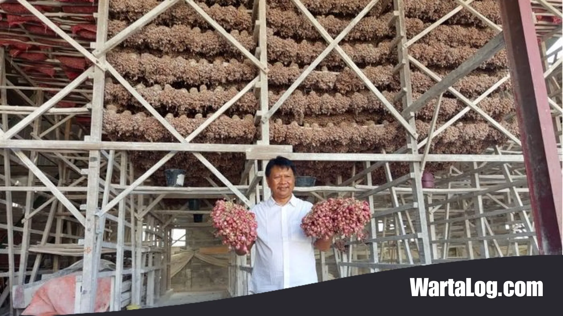 Strategi Hulu ke Hilir: Bagaimana Bank Indonesia Mengawal Ketahanan Pangan Nasional dari Ladang ke Meja Makan