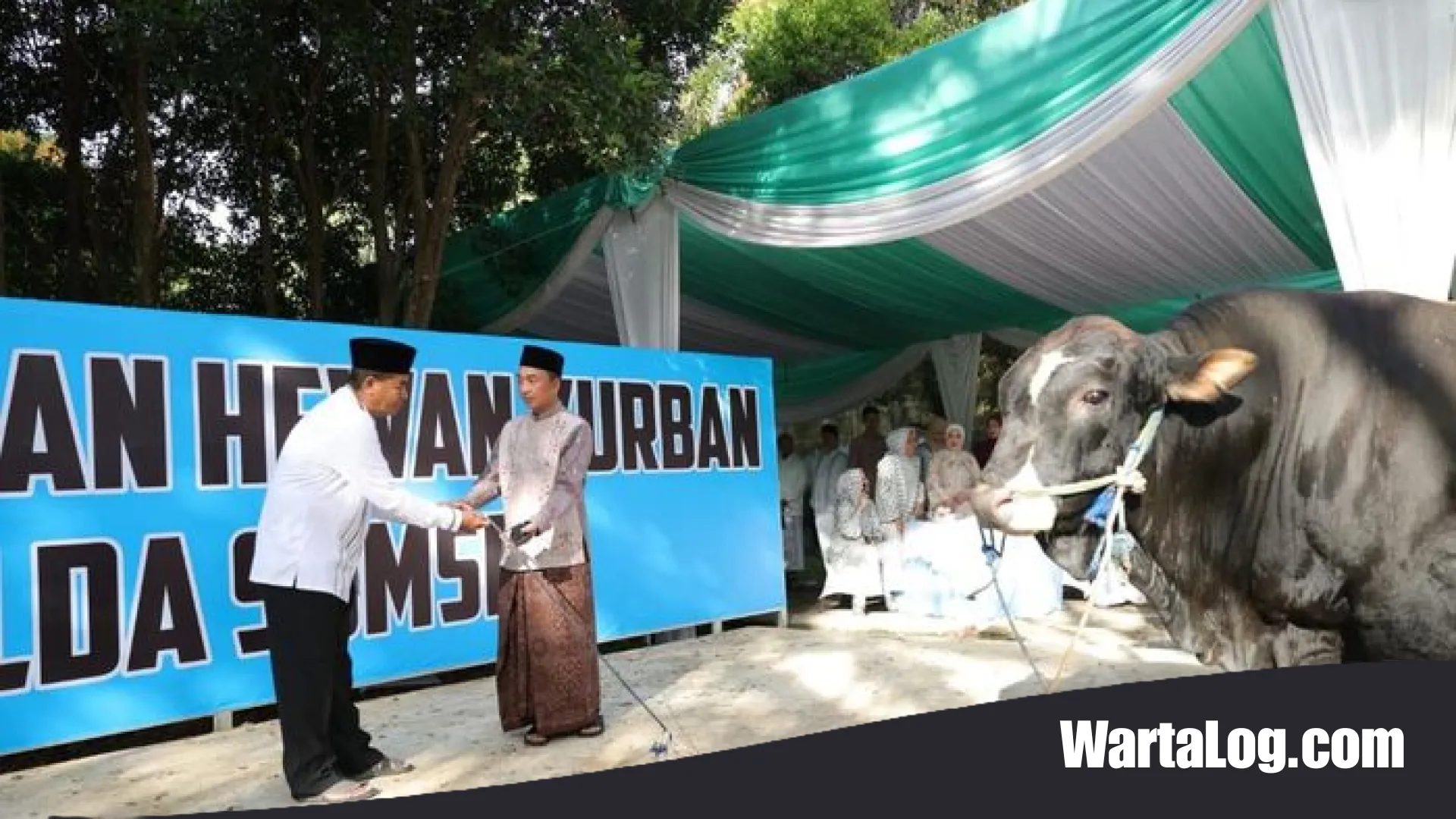 Menebar Berkah hingga Pelosok: Aksi Nyata Polda Sumsel Salurkan 579 Hewan Kurban di Hari Raya