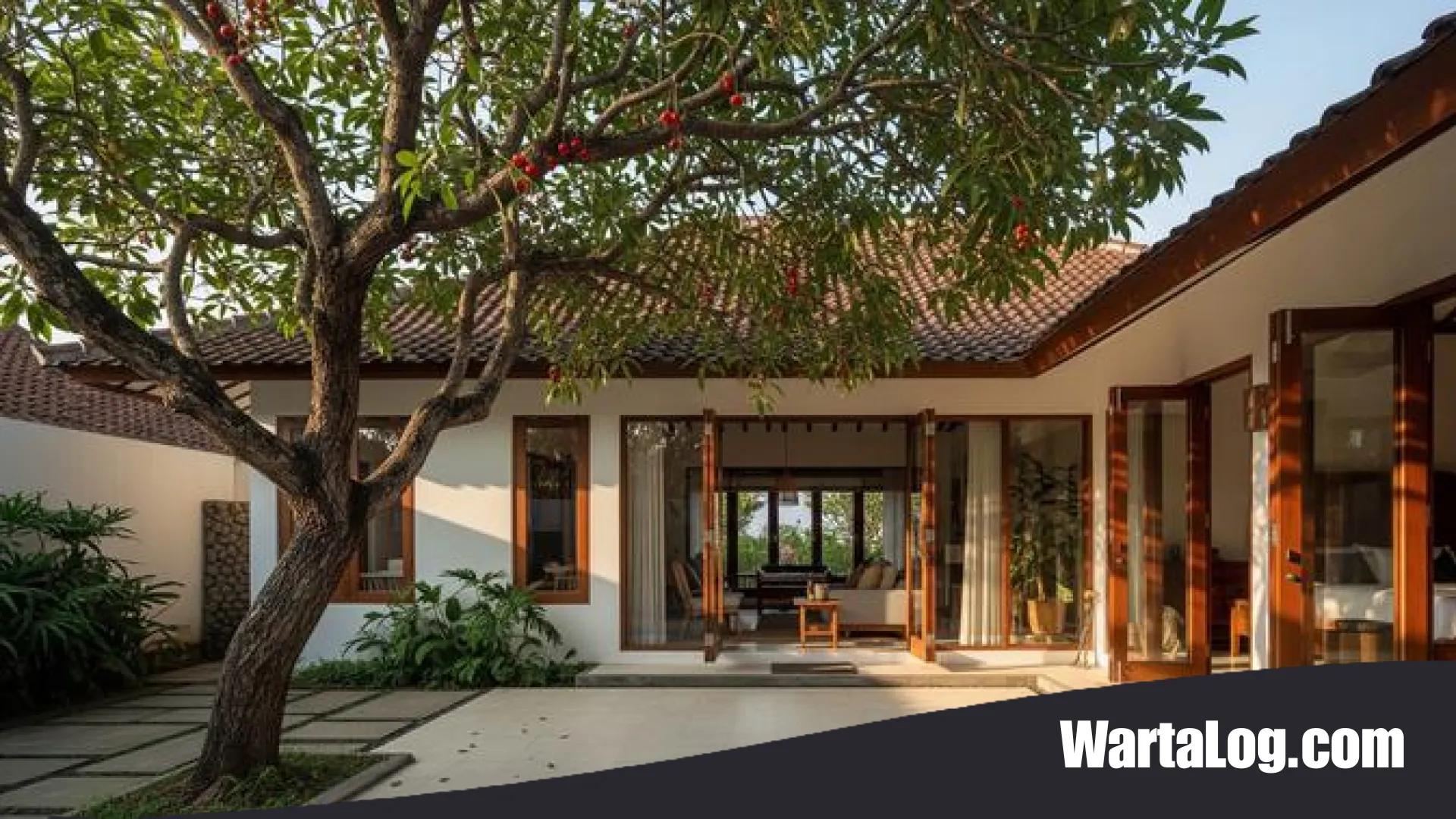 Waspada Kerusakan Struktur! 9 Jenis Pohon Buah yang Bisa Menghancurkan Fondasi Rumah dalam 5 Tahun