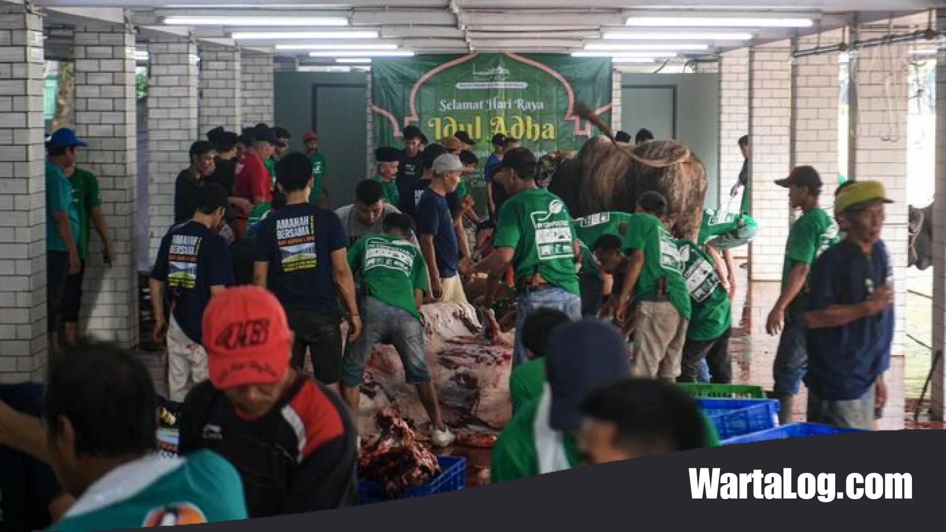 Strategi Modern Masjid Istiqlal: Distribusi Daging Kurban Tanpa Antrean Demi Menjaga Martabat Penerima