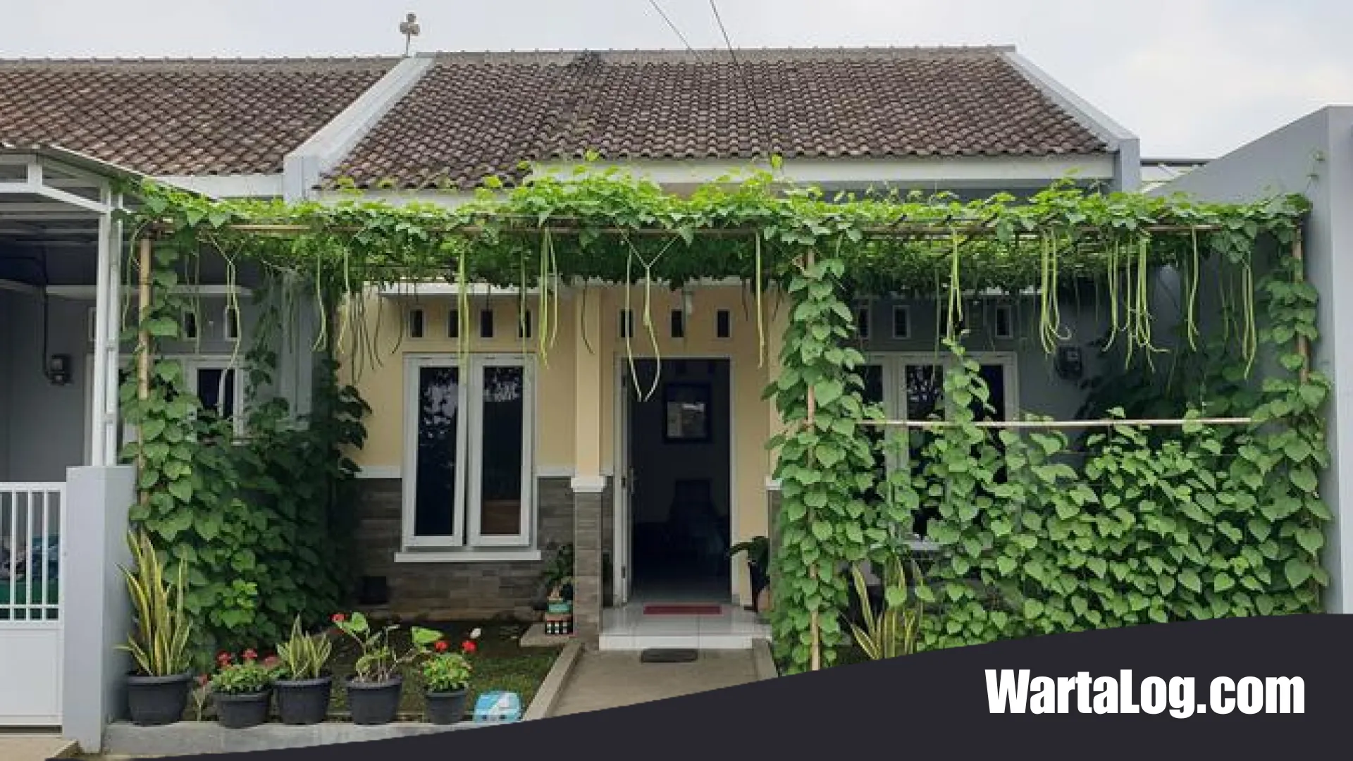 8 Inspirasi Kanopi Sayur Rambat untuk Rumah Tipe 36: Hunian Sejuk, Estetik, dan Produktif