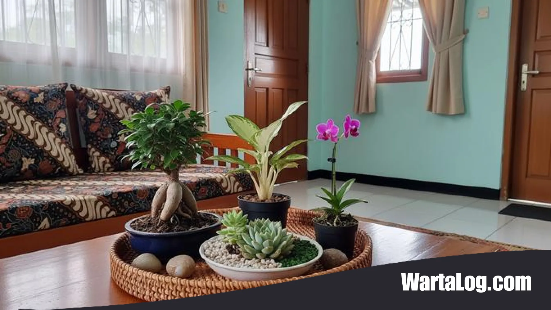 8 Jenis Tanaman Hias Mini untuk Meja Tamu: Solusi Hijau untuk Hunian Estetik dan Menyegarkan