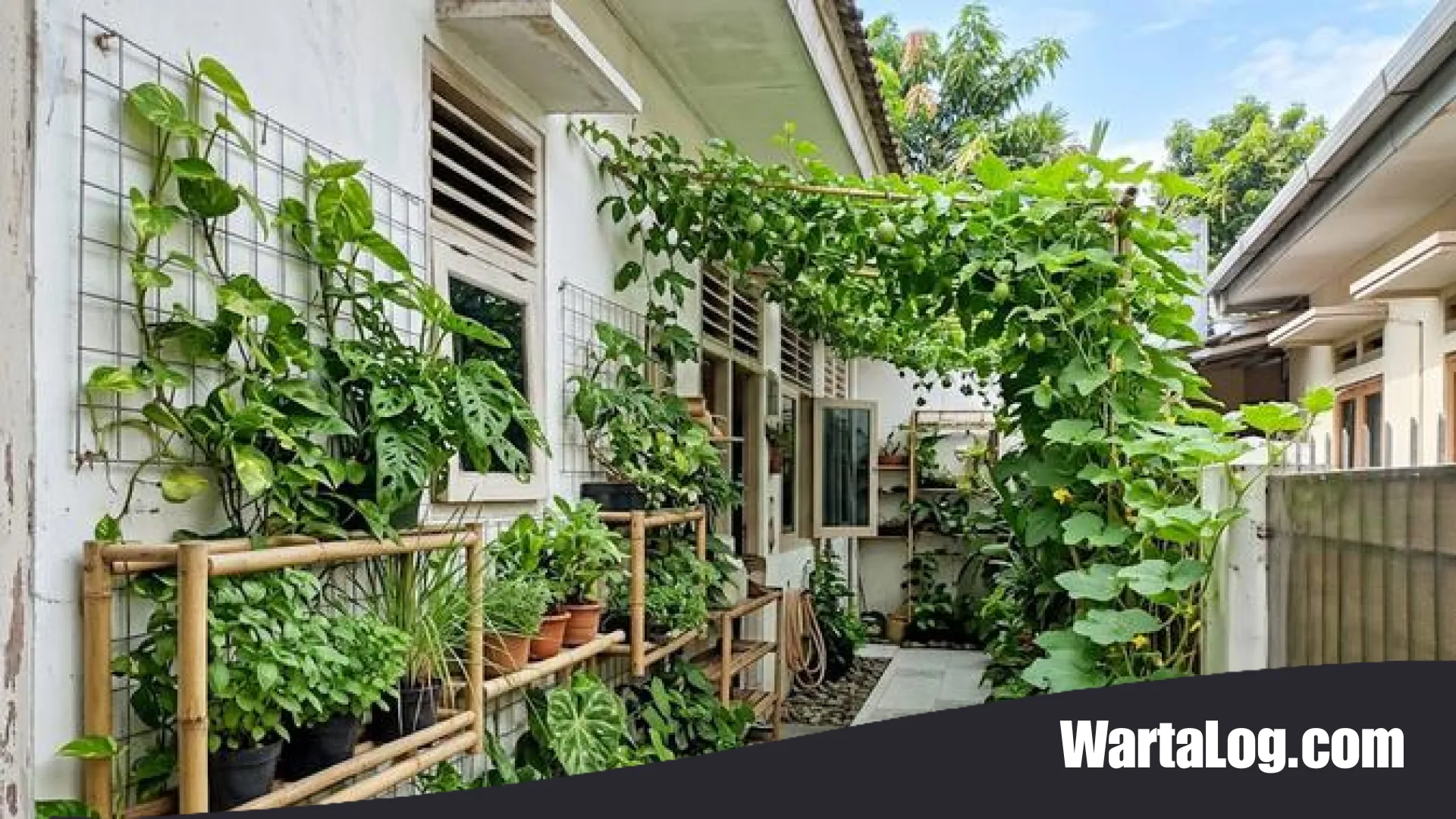 Transformasi Lahan Sempit: 6 Ide Kebun Koridor Estetik untuk Rumah Perumnas yang Menyegarkan Mata