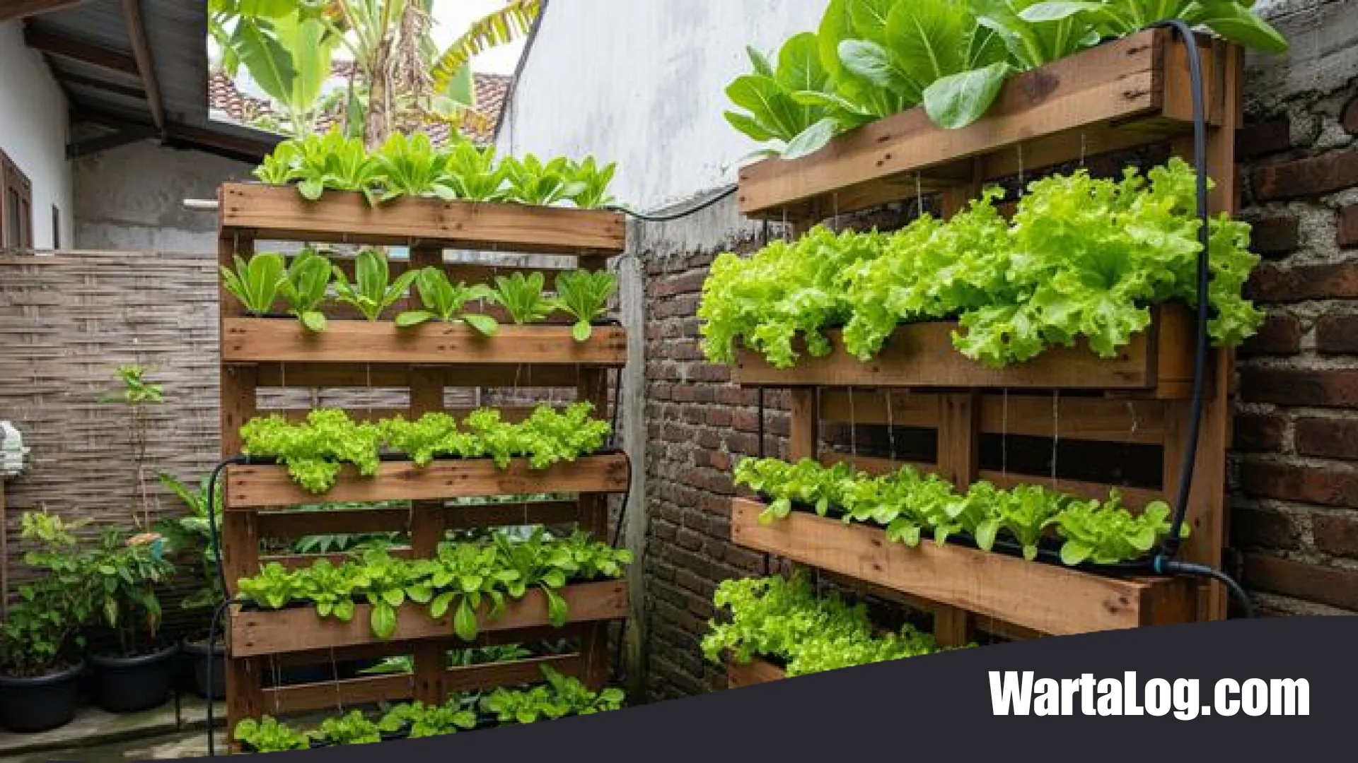 Revolusi Hijau di Lahan Terbatas: 9 Inspirasi Kebun Sayur Kreatif untuk Rumah Tanpa Tanah Terbuka