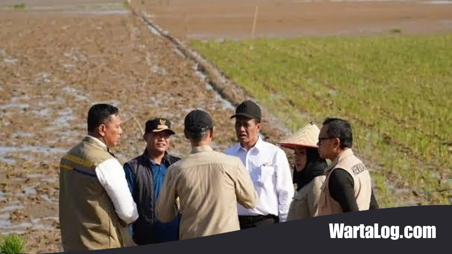 Membangun Kembali Asa Petani: Strategi Renduk Pascabencana Menuju Ketahanan Pangan Berkelanjutan di Sumatera