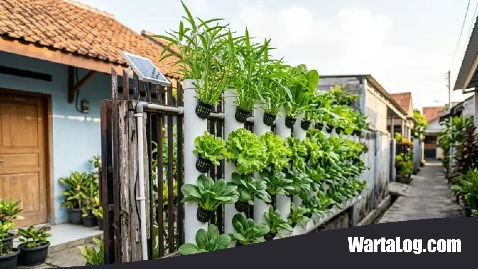 9 Inspirasi Pagar Hidroponik Kreatif untuk Panen Sayur Segar Setiap Hari di Lahan Sempit