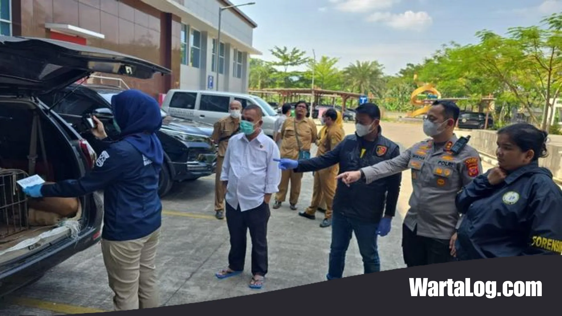 Tragedi Berdarah Jasinga: Detik-detik Bocah Tewas Diterkam Anjing Pemburu dan Nasib Tragis Kawanan Pemangsa