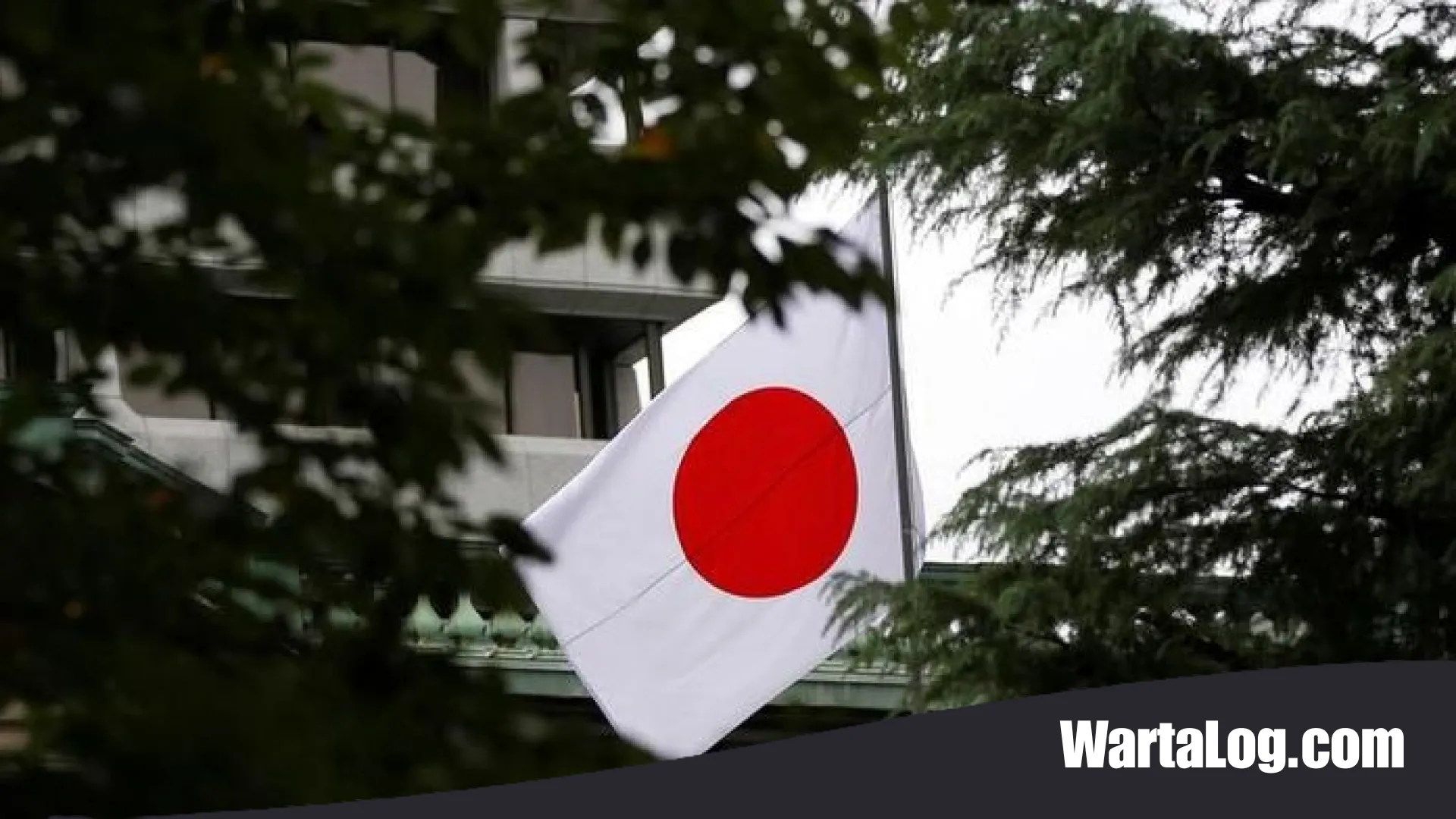 Panduan Lengkap Program Magang ke Jepang Kemnaker: Syarat, Cara Daftar, dan Peluang Karir Kaigo