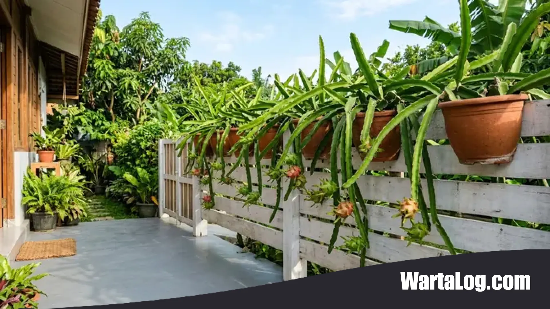 Sentuhan Hijau yang Aman: 7 Inspirasi Pagar Modern dengan Tanaman Rambat yang Sulit Dipanjat