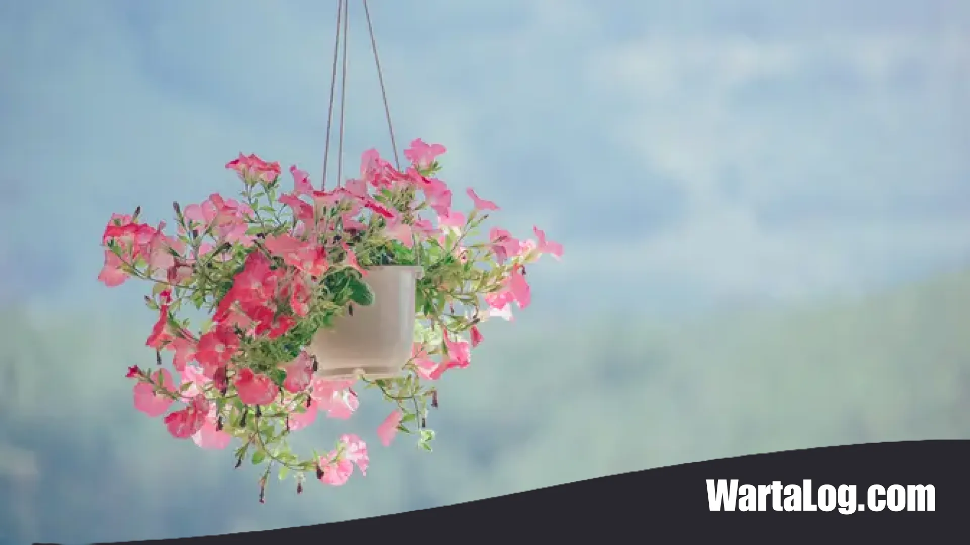 Sentuhan Estetik di Ruang Sempit: 9 Jenis Bunga Mini Pot Gantung untuk Mempercantik Teras