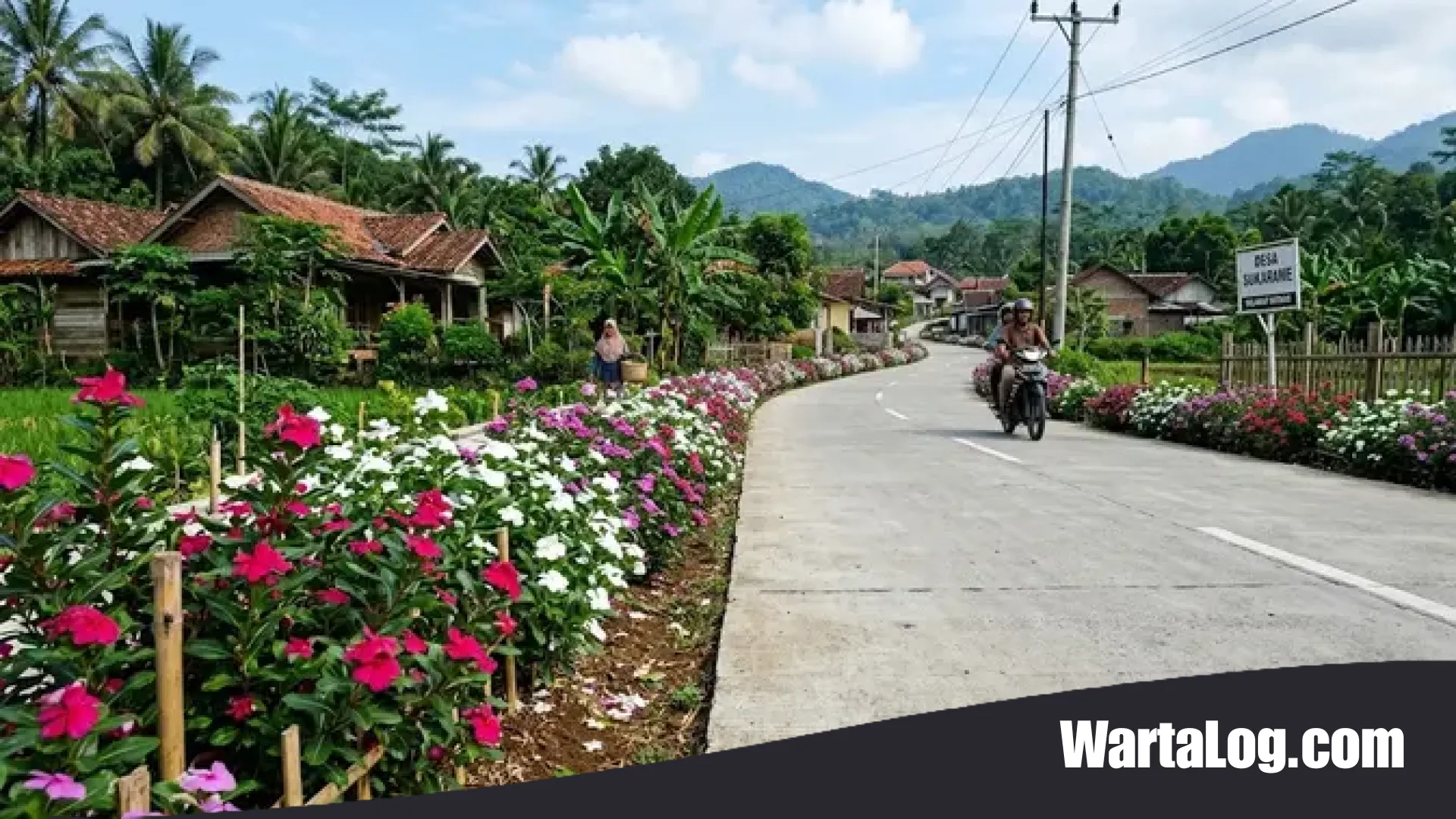 Menghidupkan Kembali Wajah Desa: 12 Tanaman Tangguh untuk Pinggir Jalan Cor yang Tahan Panas