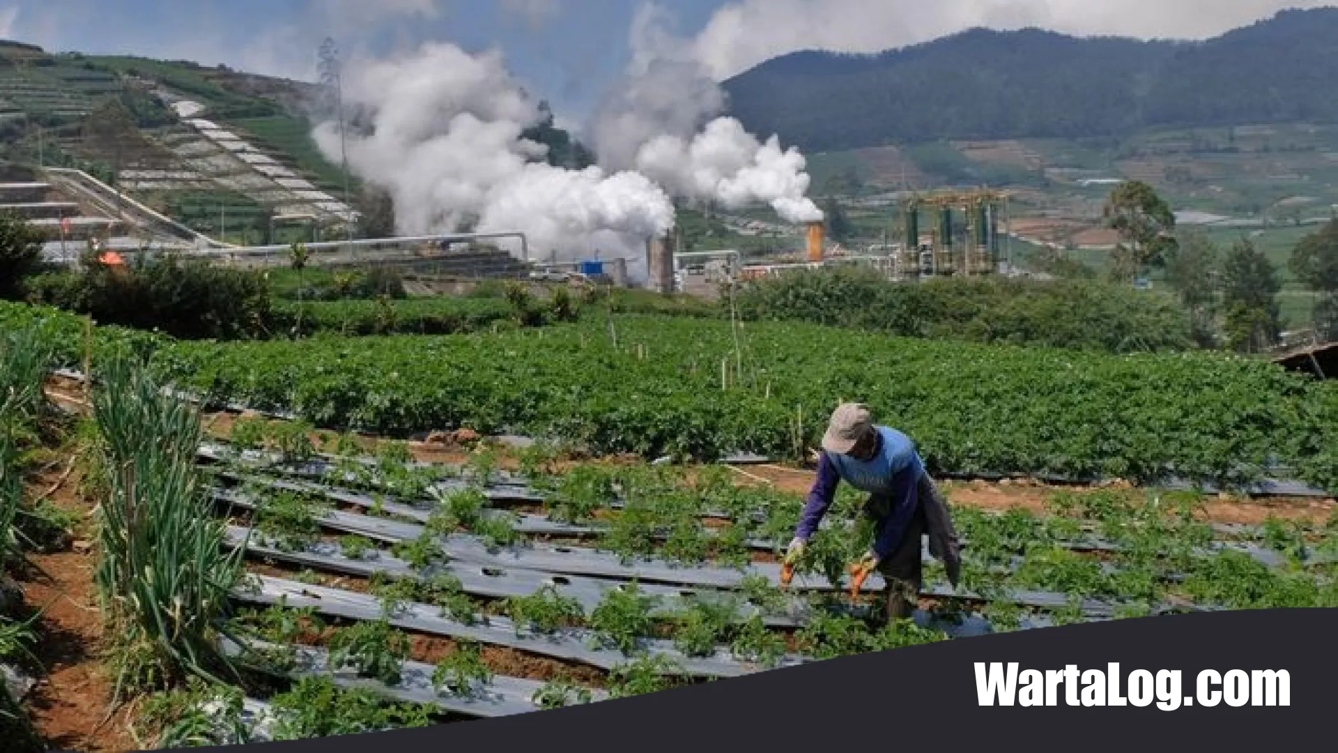 Langkah Besar Menuju Raja Panas Bumi Dunia: Proyek PLTP Dieng Unit 2 Resmi Dimulai