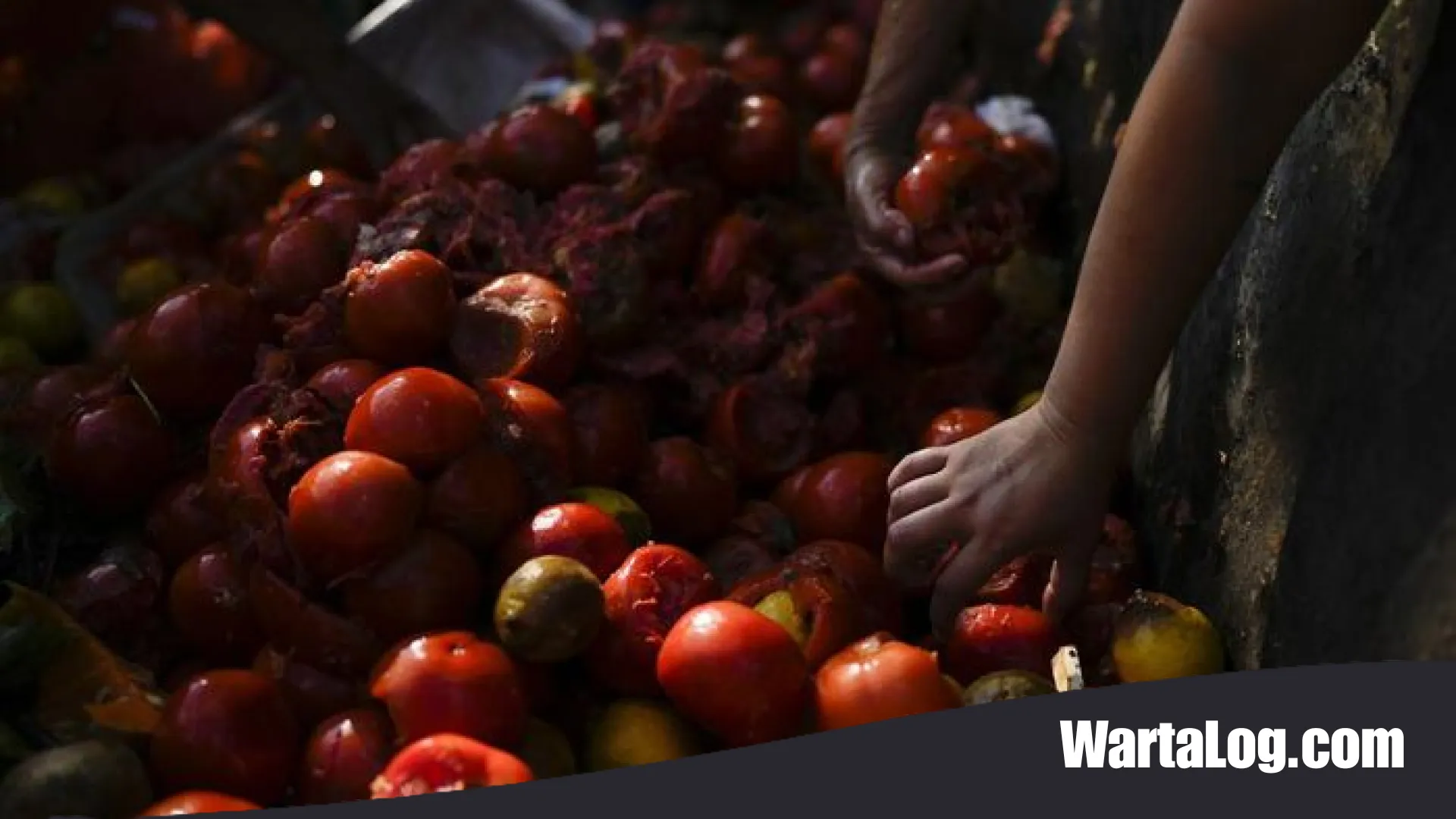 Analisis Tajam BPS: Lonjakan Inflasi Juni 2026 Dipicu Tekanan Harga BBM dan Mobilitas Liburan