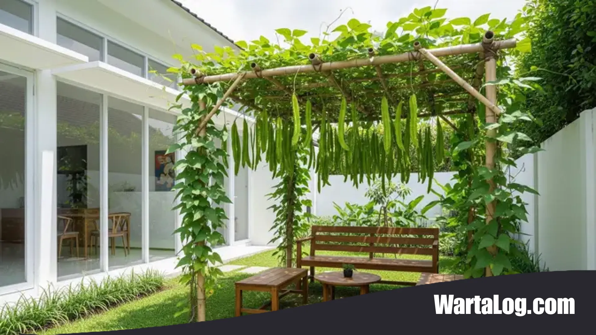 7 Inspirasi Kebun Kecipir di Lahan Tidur: Strategi Cerdas Ubah Tanah Kosong Jadi Lumbung Gizi Keluarga
