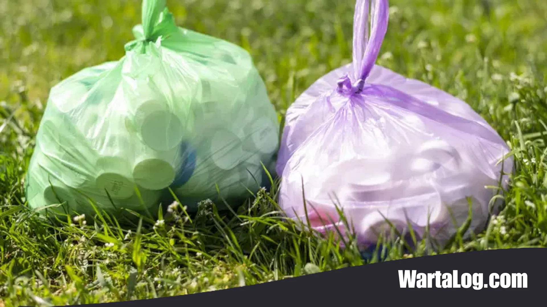 Mengubah Limbah Jadi Rupiah: 7 Ide Kreatif Daur Ulang Kantong Plastik yang Bernilai Ekonomi Tinggi