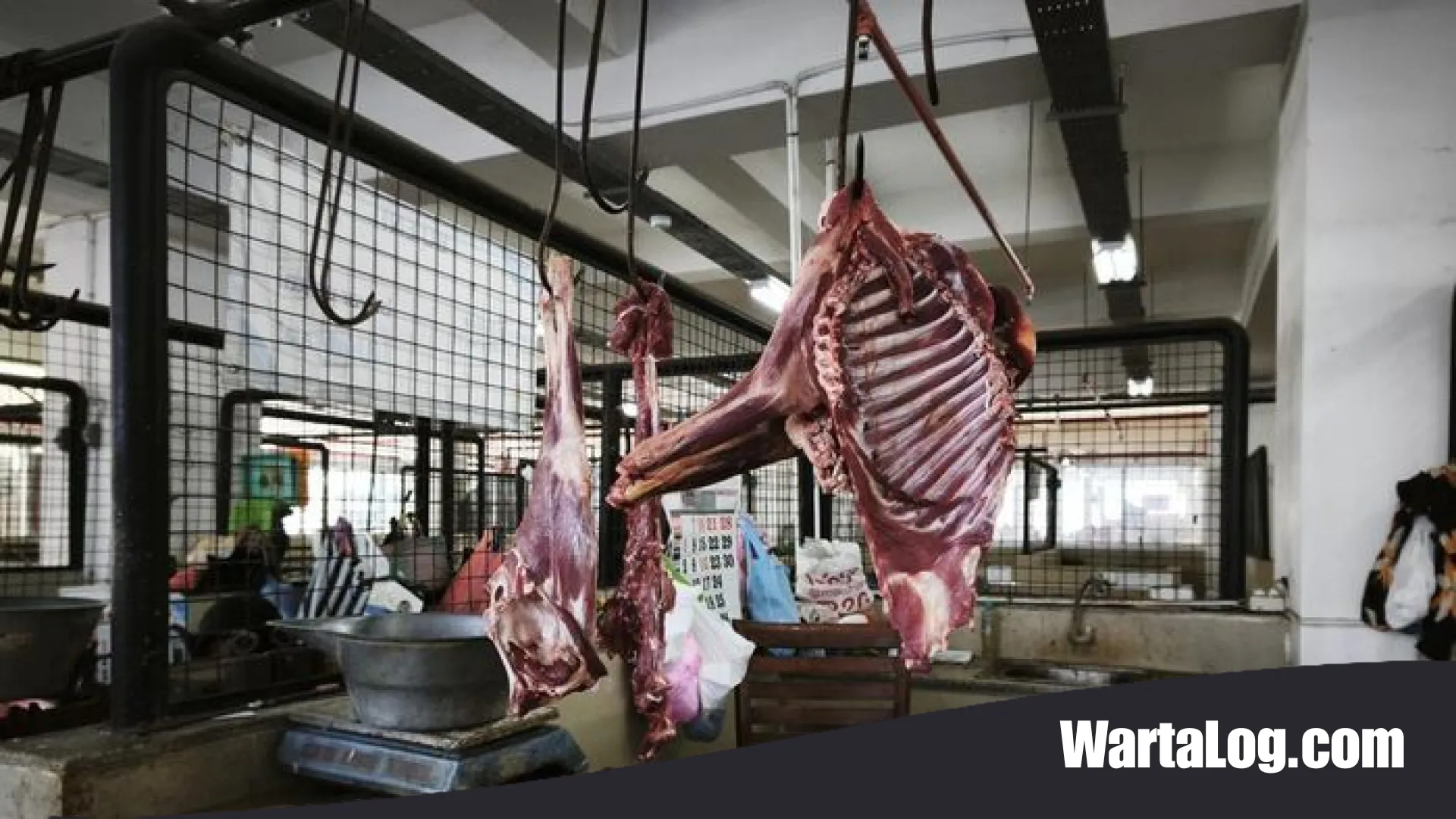 Update Harga Pangan Juli 2026: Daging dan Beras Kompak Merangkak Naik, Cabai Justru Melandai