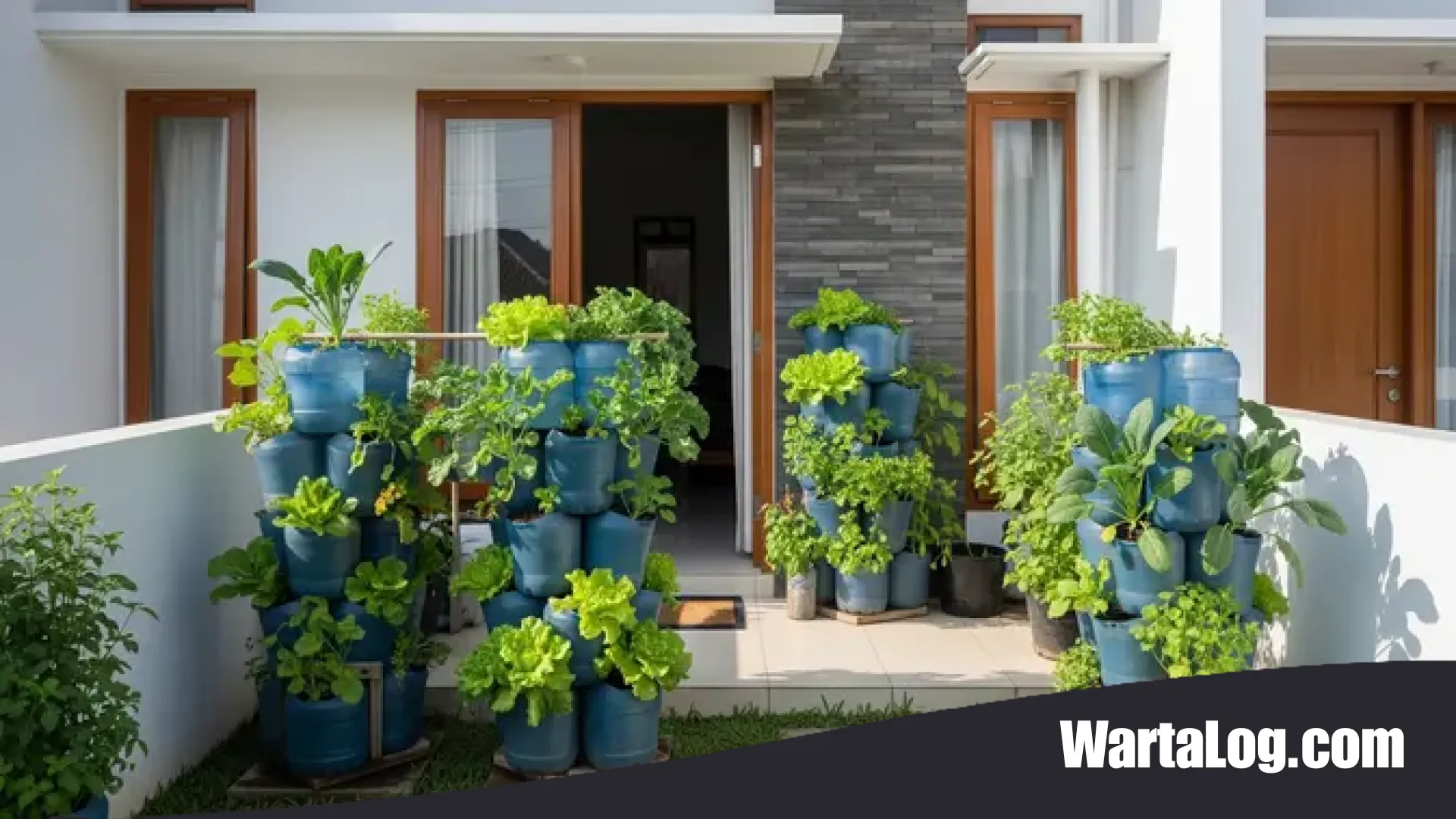 8 Sayuran Berakar Pendek Terbaik untuk Budidaya di Galon Bekas: Solusi Urban Farming Praktis dan Ekonomis