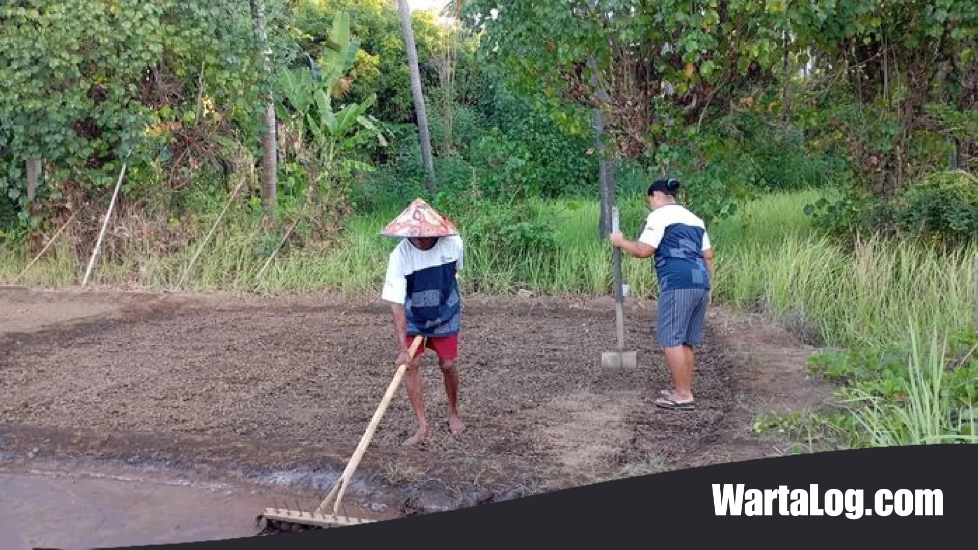 Simfoni Kelestarian di Pesisir Buleleng: Kisah Desa Les Meraih Takhta Wisata Nasional Bersama Astra