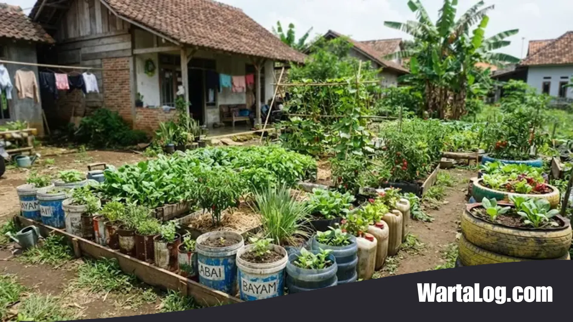 Strategi Berkebun Hemat: 10 Barang Bekas Pengganti Polybag yang Lebih Awet dan Ramah Lingkungan
