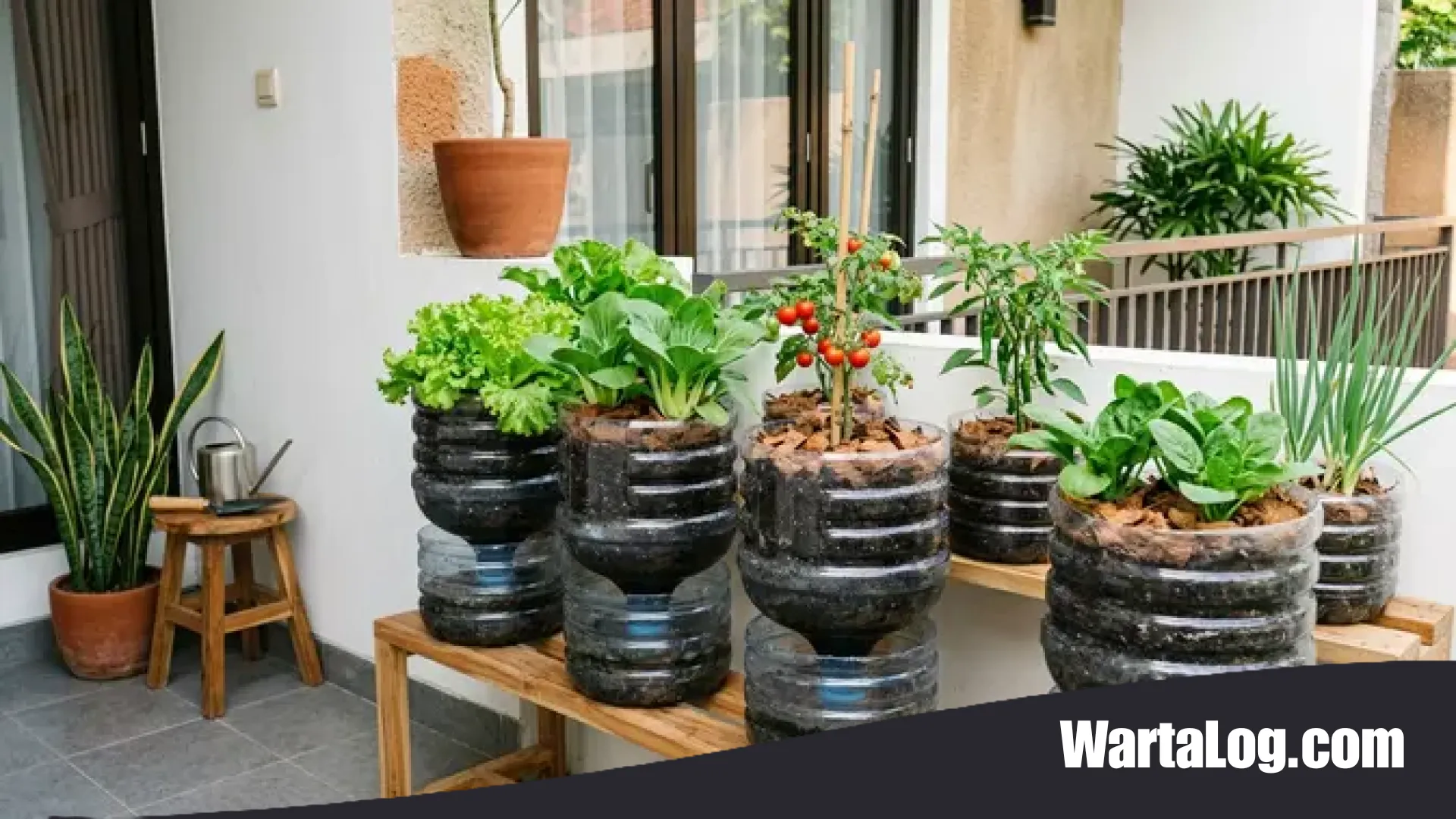 6 Inspirasi Kebun Sayur Galon Bekas: Solusi Urban Farming Estetik di Lahan Sempit