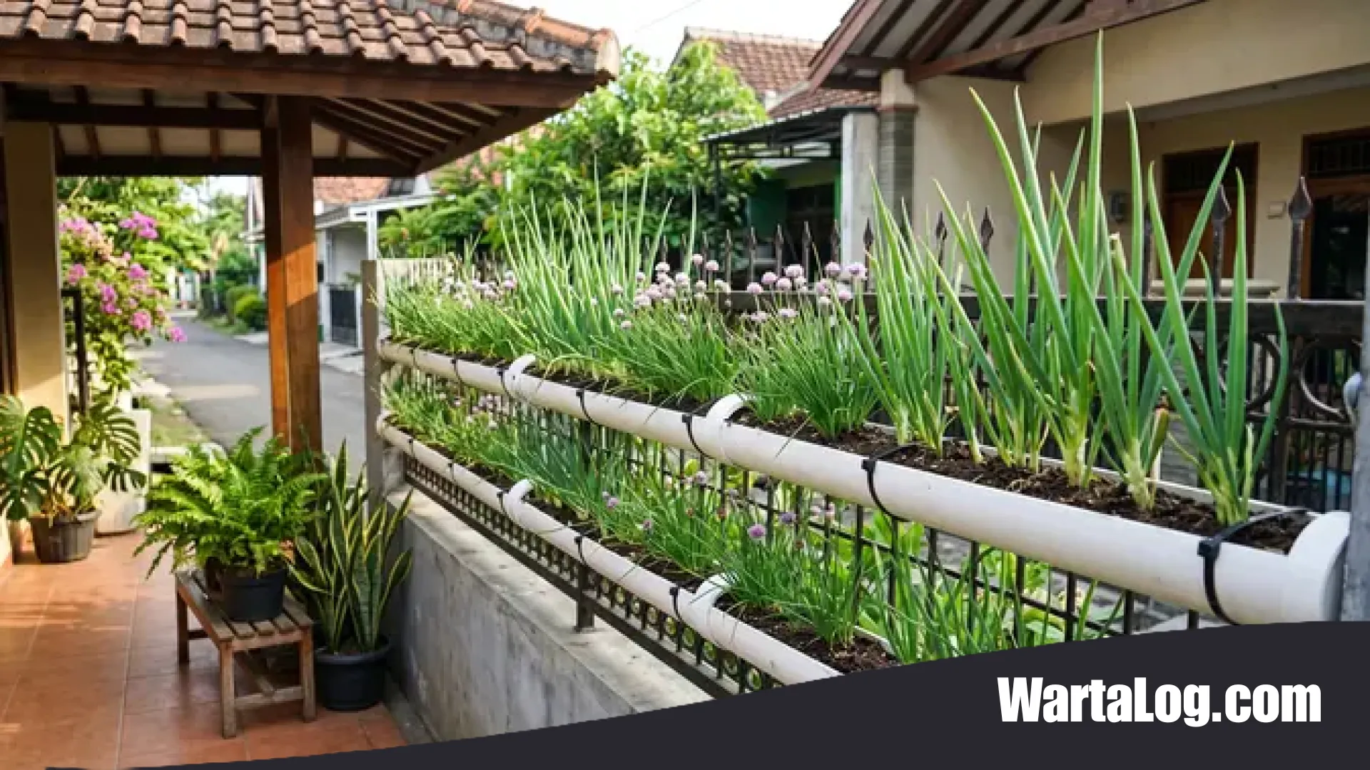 Inspirasi Urban Farming: 7 Desain Kreatif Kebun Daun Bawang di Teras Menggunakan Talang PVC