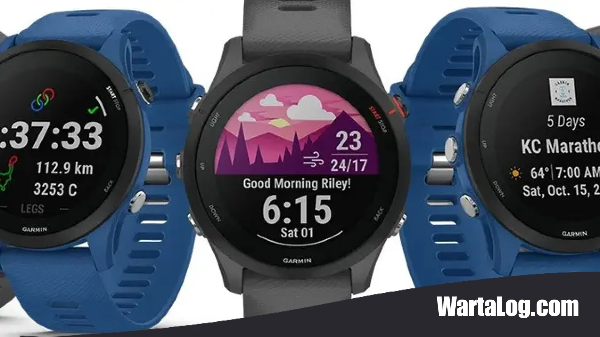 Kisah di Balik Kejayaan Garmin: Mengenal Sosok Pendiri dan Rahasia Produksi di Balik Ketangguhannya