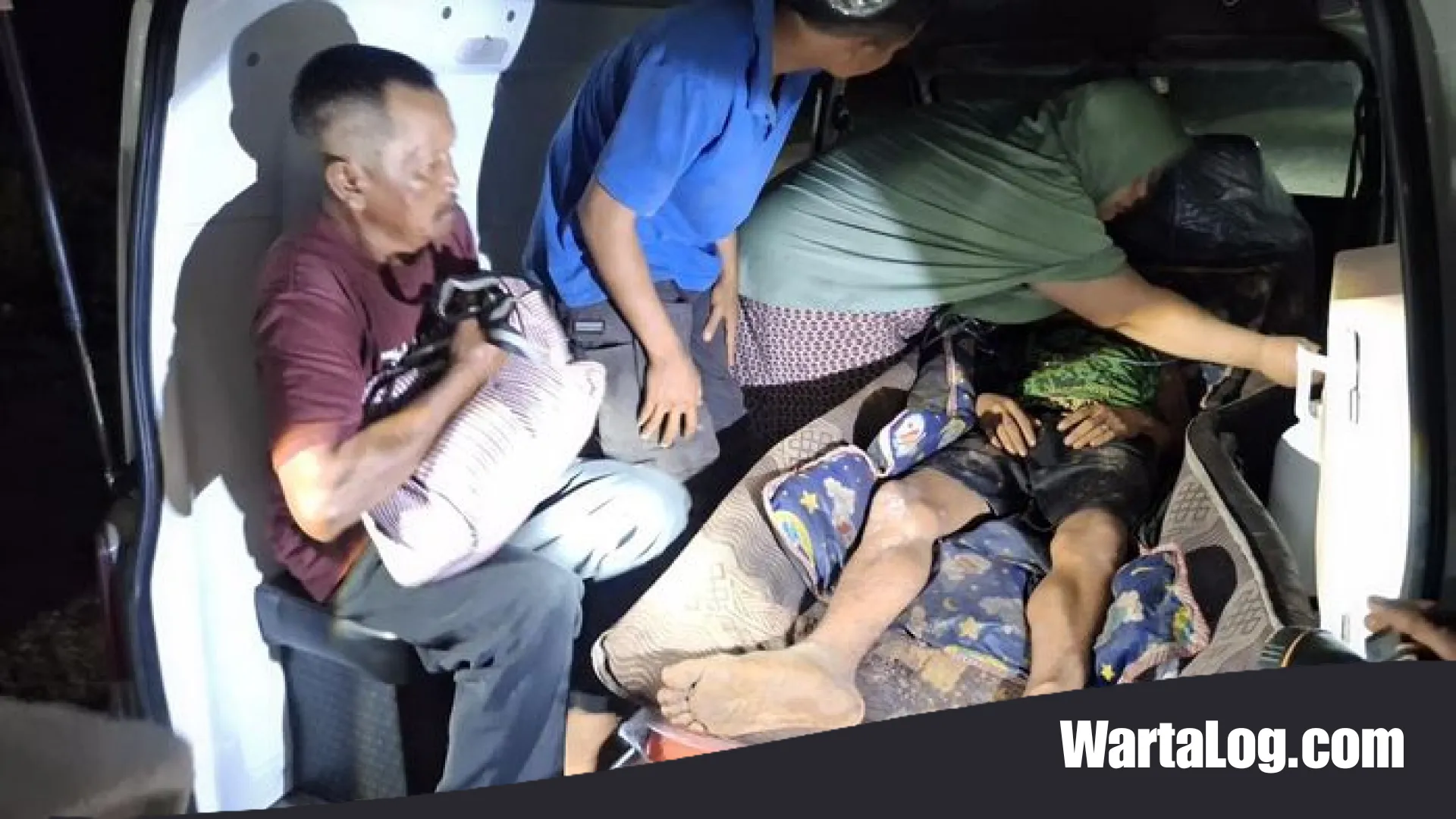 Teror ‘Sang Datuk’ di Tengah Malam: Kisah Harianto Bertahan Hidup dari Terkaman Harimau di Siak