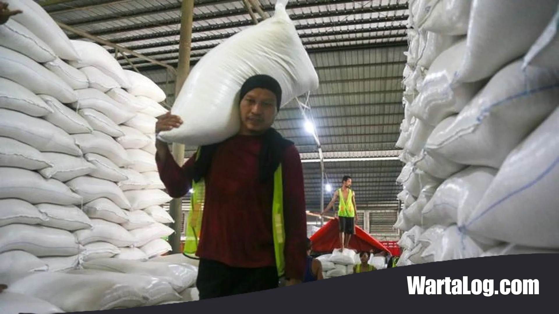 Menghalau Dampak El Nino 2026: Strategi Pemerintah Amankan Cadangan Beras Nasional Hingga 5 Juta Ton