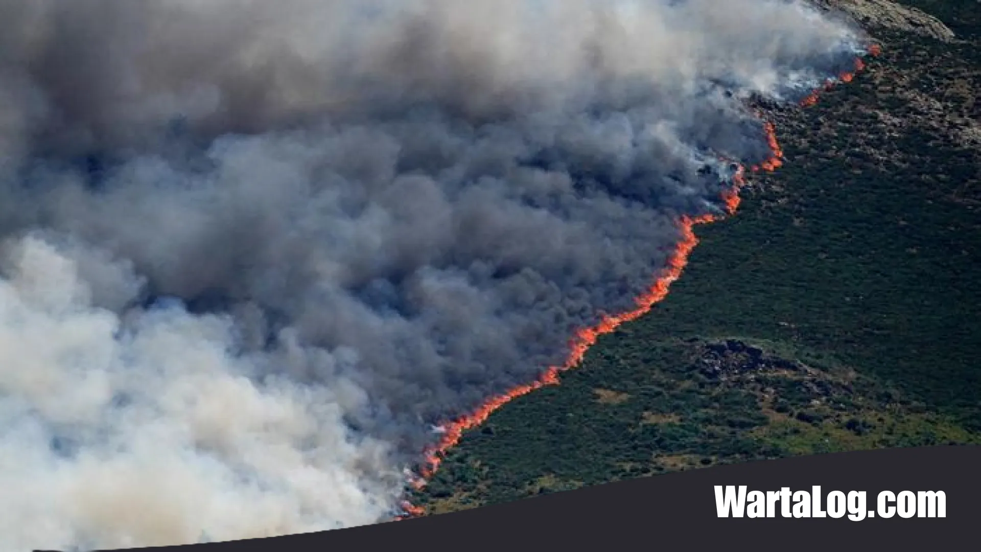 Eksodus Massal di Eropa: 160.000 Orang Mengungsi Akibat Amukan Kebakaran Hutan di Prancis dan Spanyol
