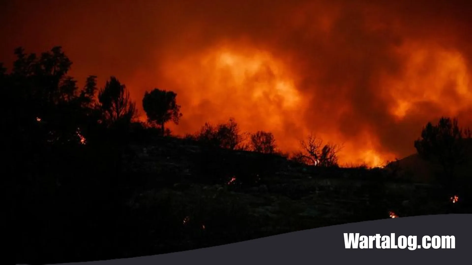 Krisis Kebakaran Hutan Meluas ke Madrid: Spanyol Tetapkan Darurat Nasional, Ratusan Ribu Warga Dievakuasi