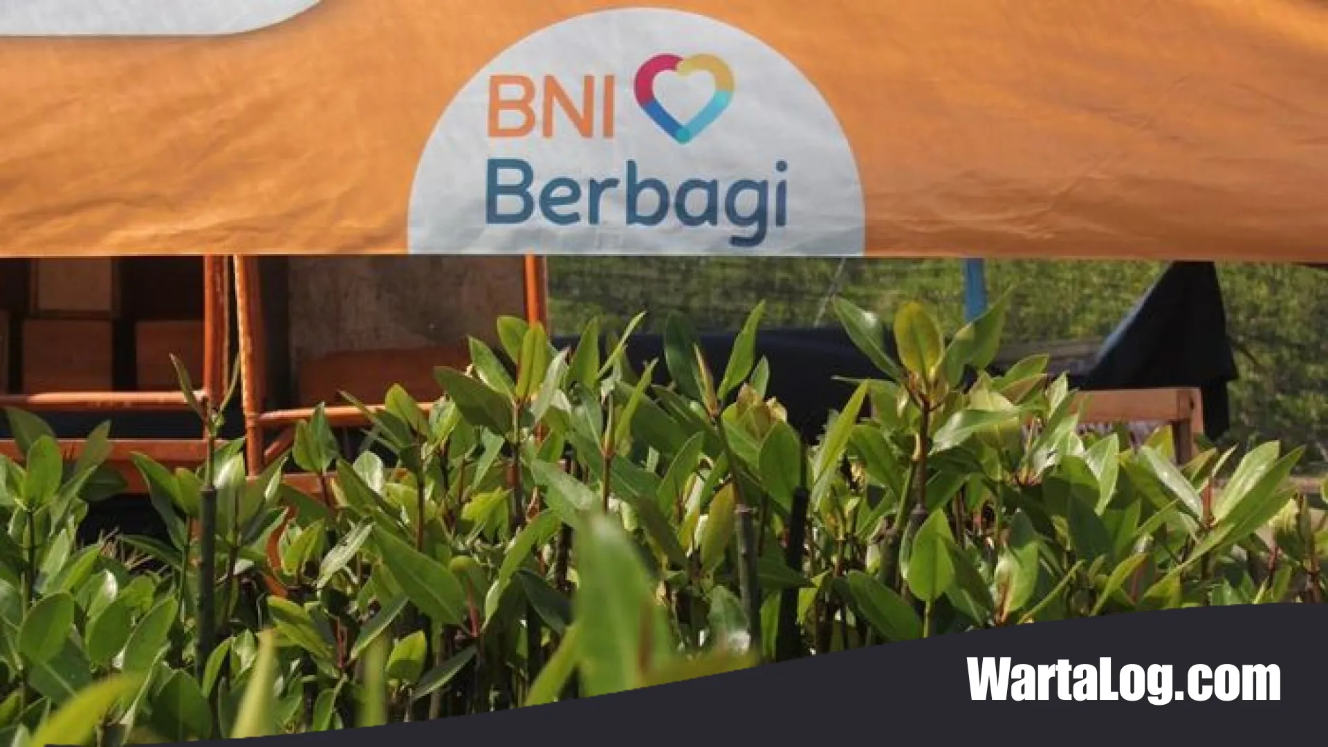 Komitmen Hijau BNI: Merehabilitasi Ekosistem Mangrove untuk Ketahanan Pesisir dan Kesejahteraan Masyarakat